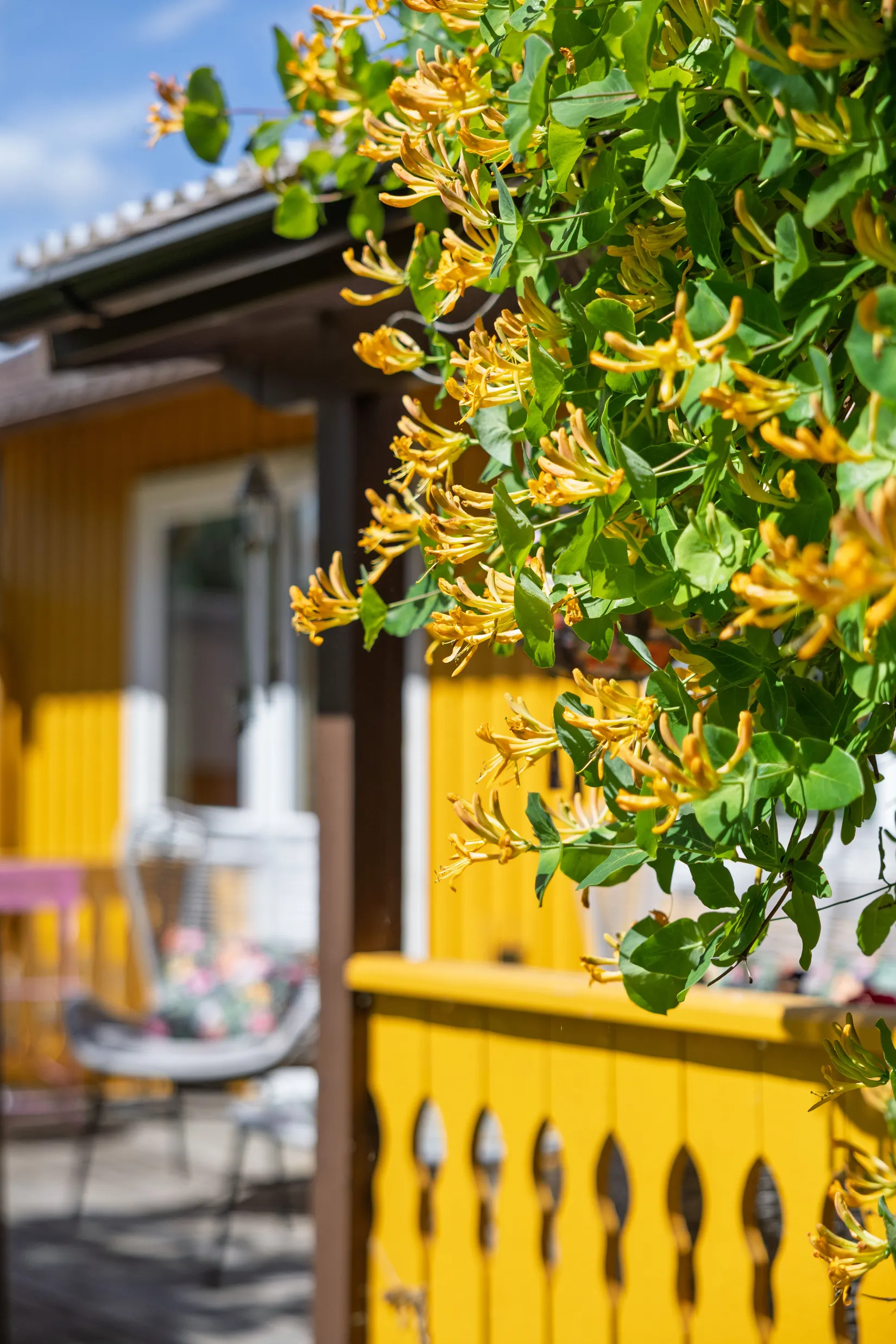 Villa, Tujavägen 9, Hamrångefjärden, Gävle
