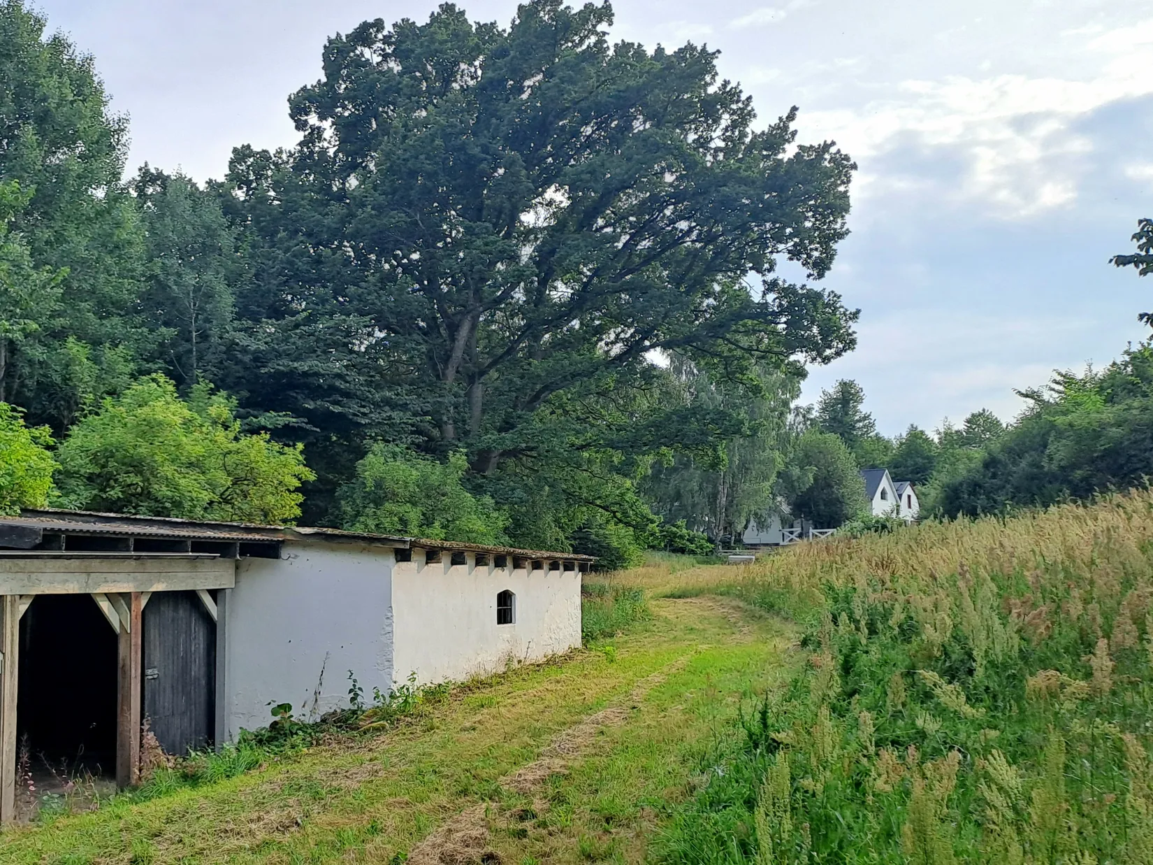 Gård/Skog, Skräddarödsvägen 7, Skräddaröd, Simrishamn
