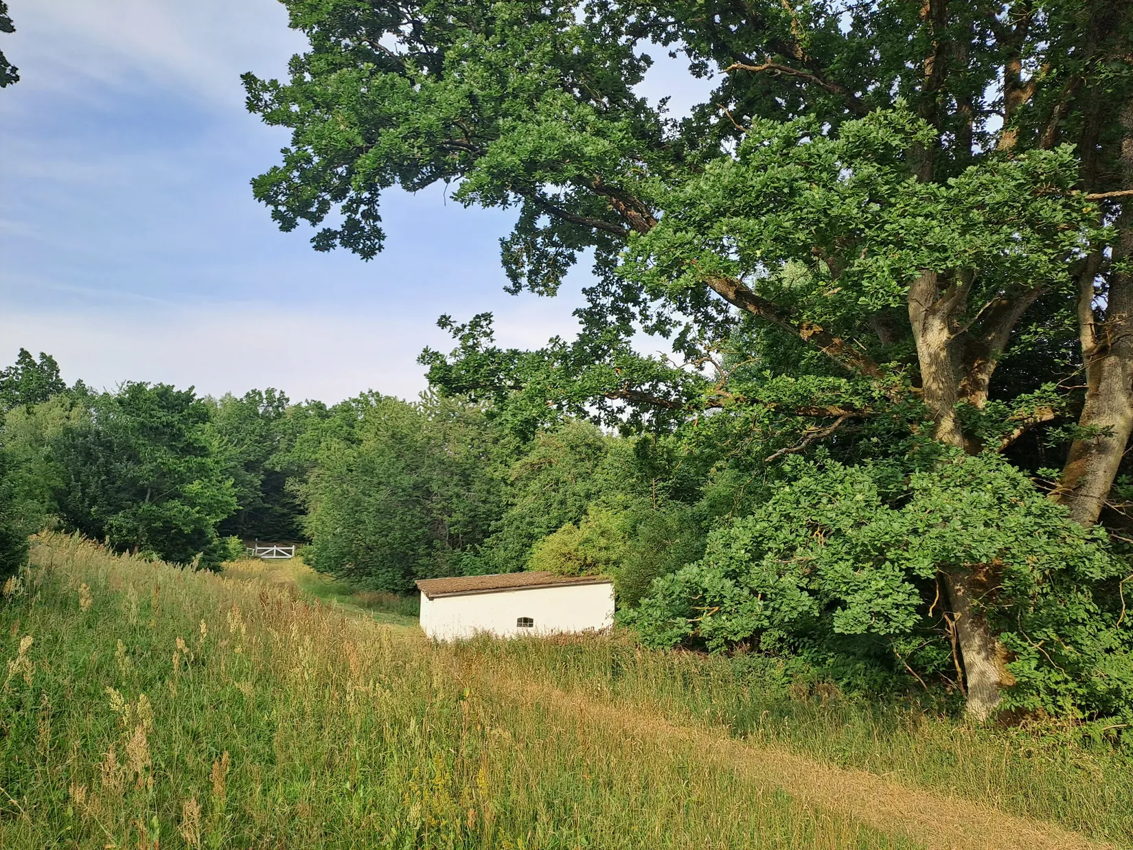 Gård/Skog, Skräddarödsvägen 7, Skräddaröd, Simrishamn