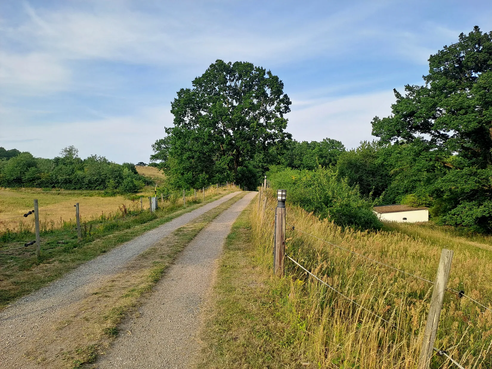 Gård/Skog, Skräddarödsvägen 7, Skräddaröd, Simrishamn