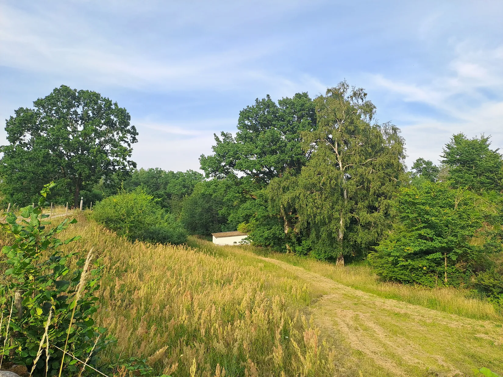 Gård/Skog, Skräddarödsvägen 7, Skräddaröd, Simrishamn
