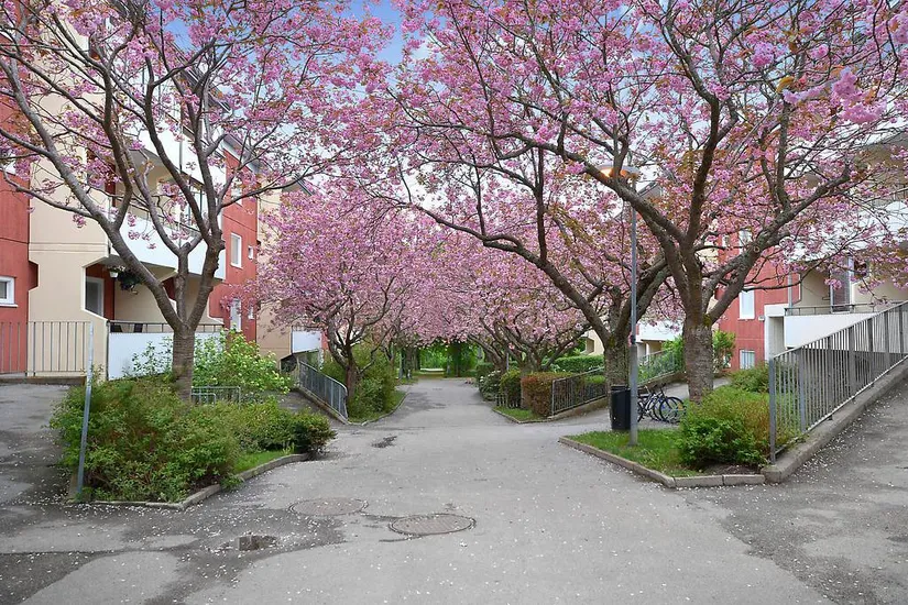 Bostadsrätt, Lammholmsbacken 171, Vårby, Huddinge