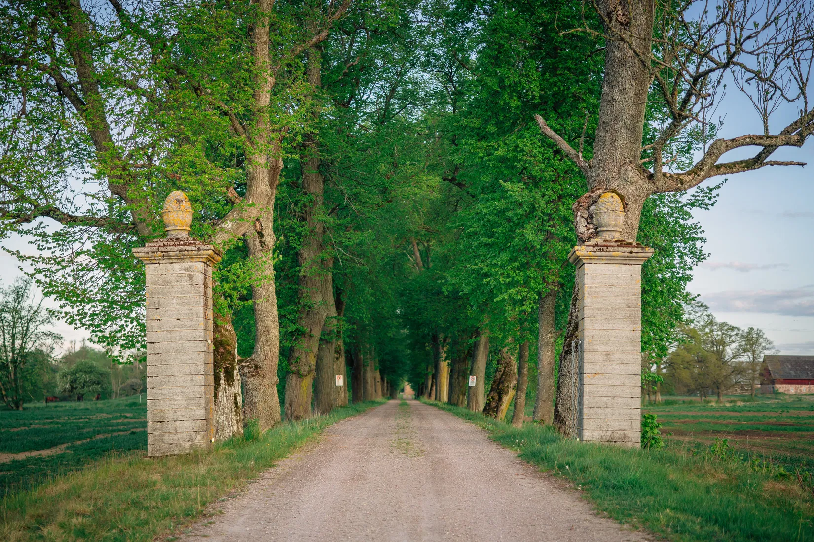 Gård/Skog, Börstorp slott, Mariestad