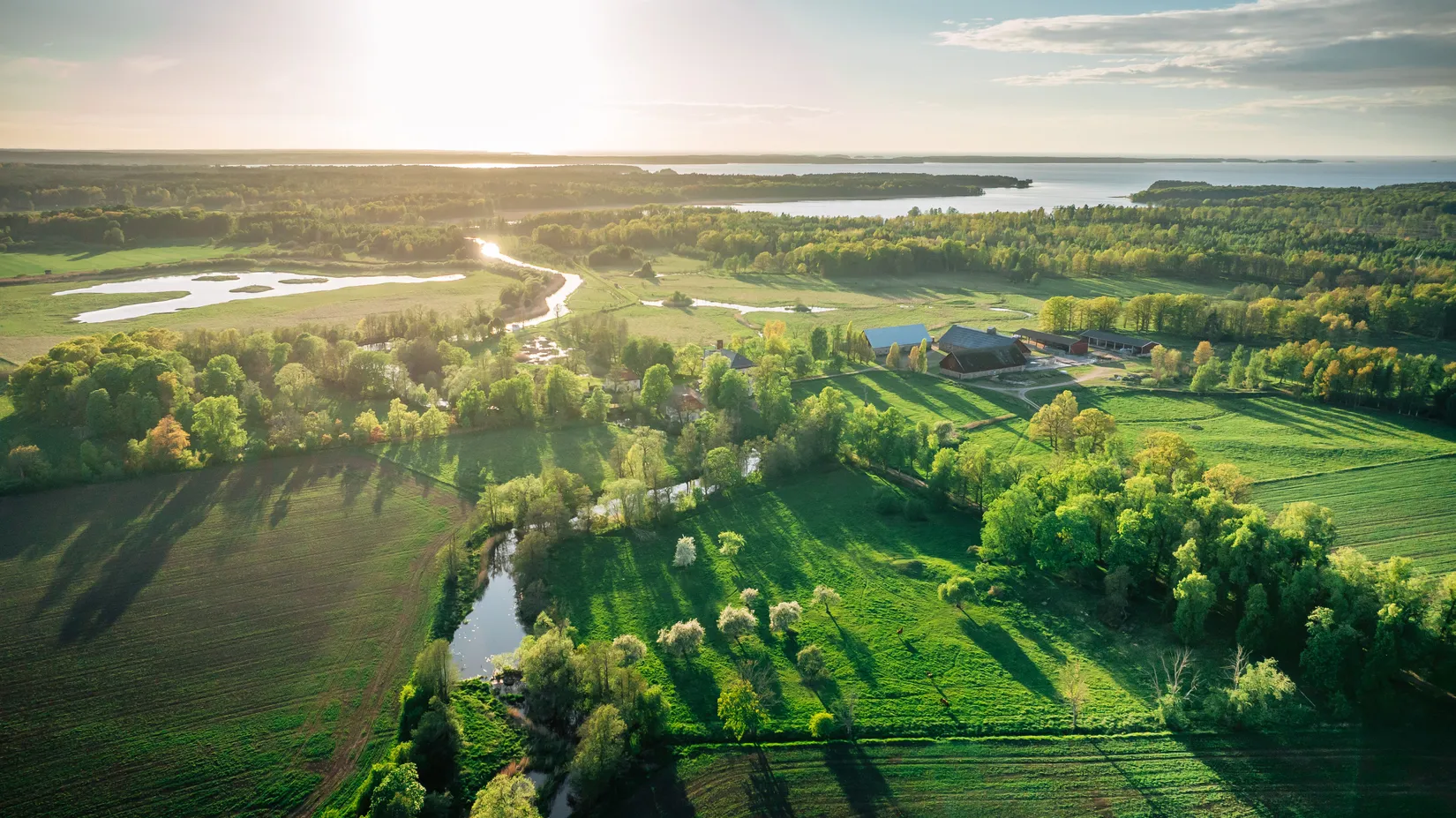 Gård/Skog, Börstorp slott, Mariestad