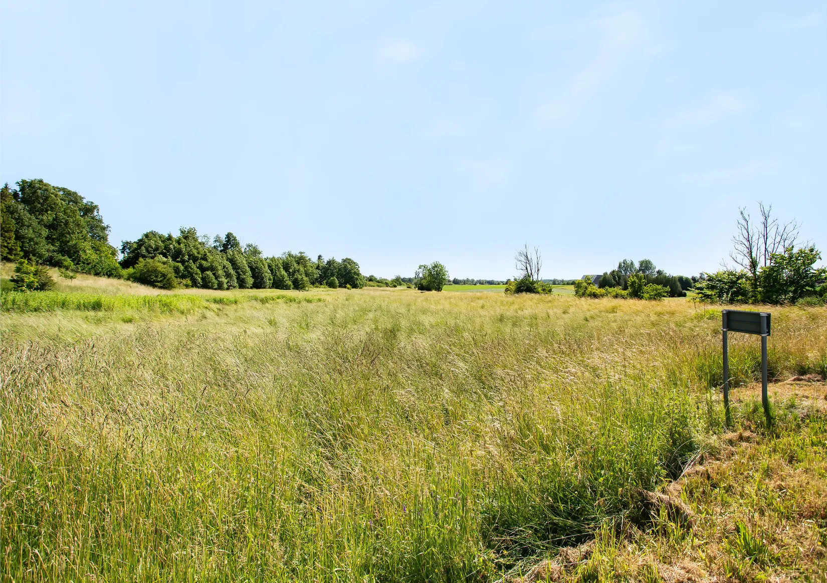 Gård/Skog, Slimminge 2016, Skurup