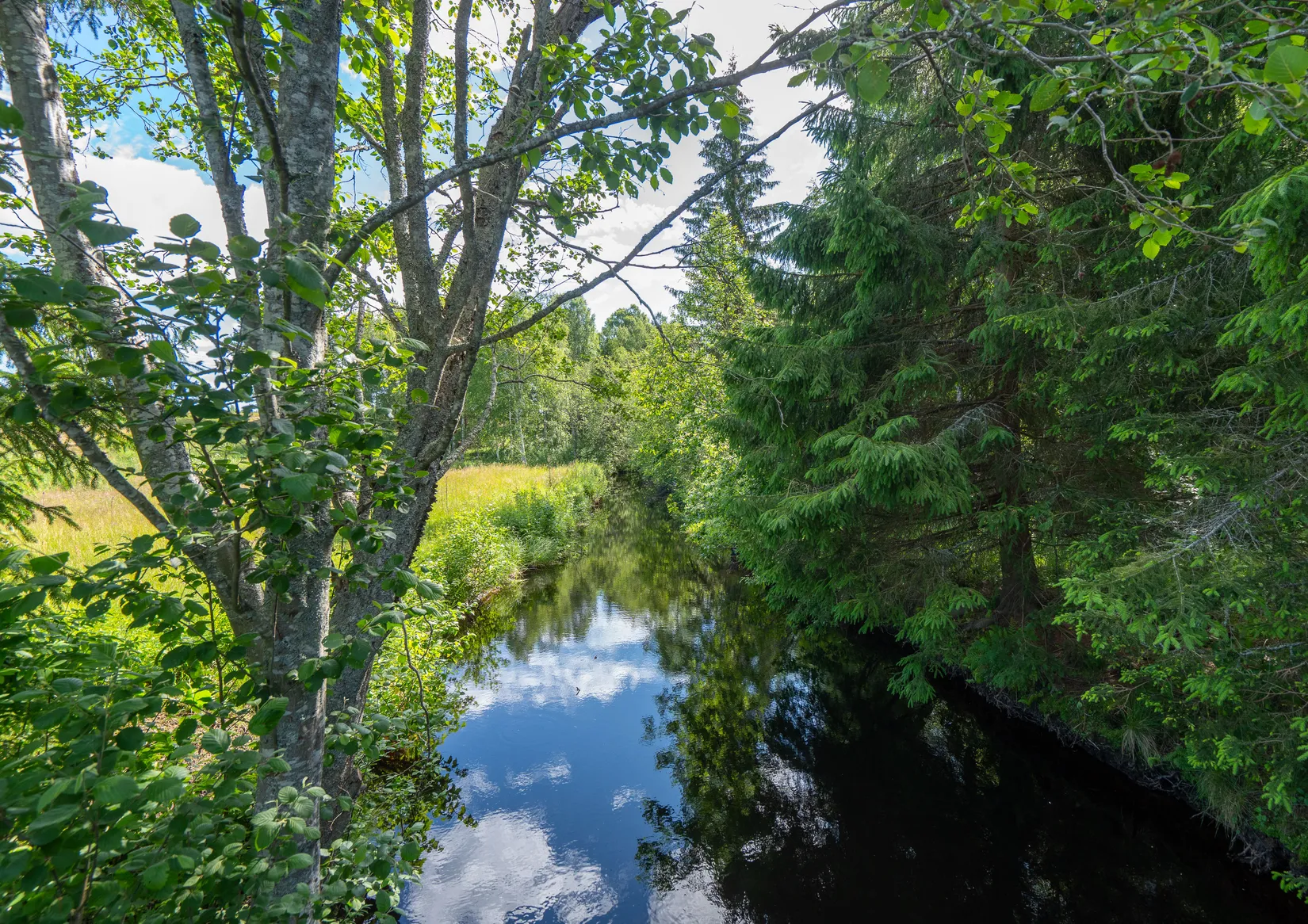 Gård/Skog, Svärdsjövägen 444, Sandviken
