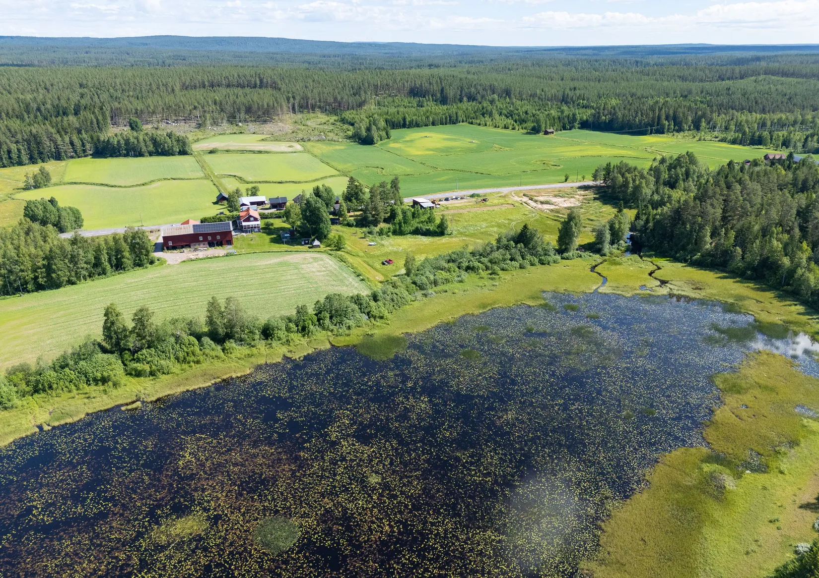 Gård/Skog, Svärdsjövägen 444, Sandviken