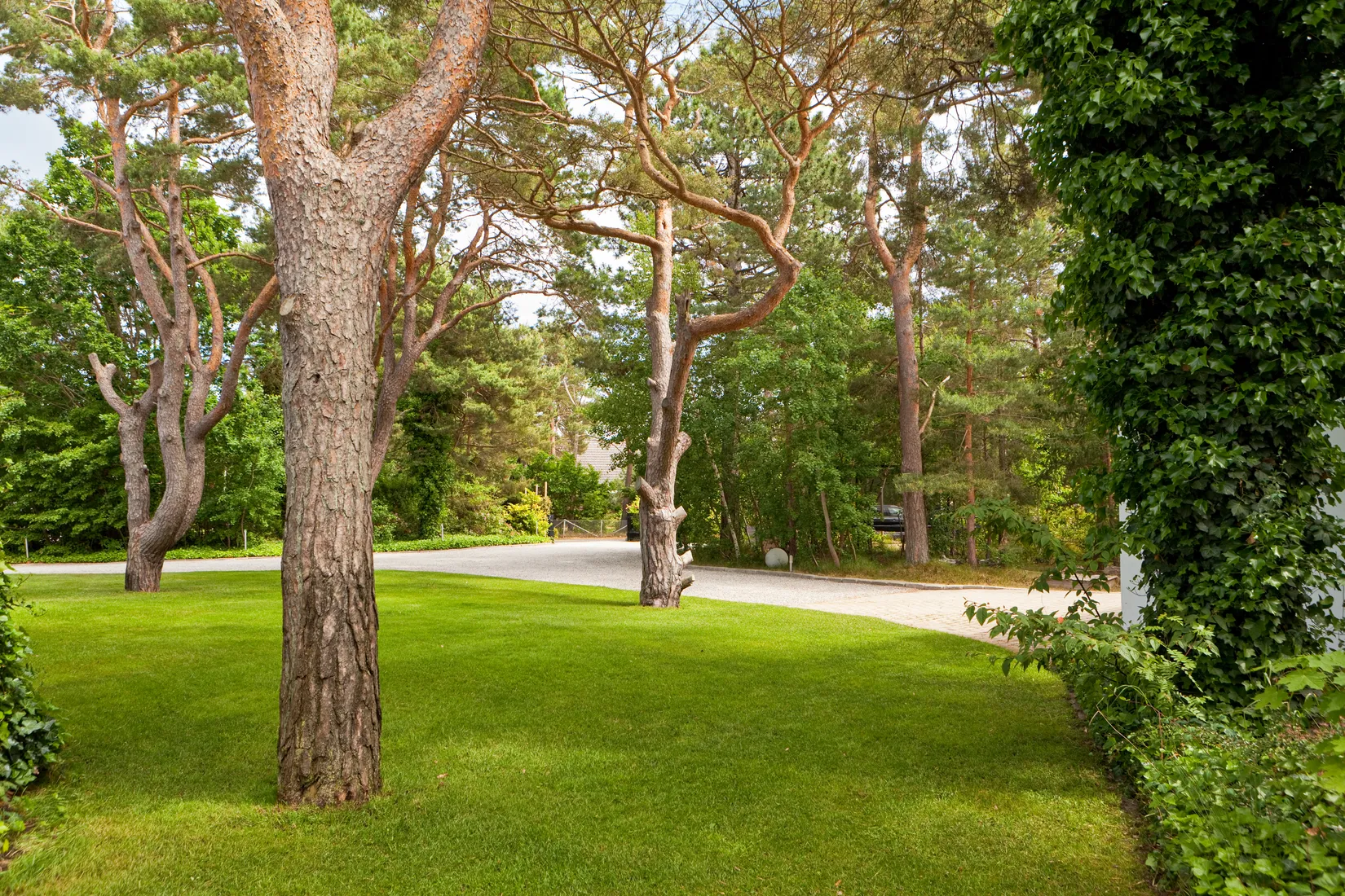 Tomt, Vikensvägen 53A, Ljunghusen, Vellinge