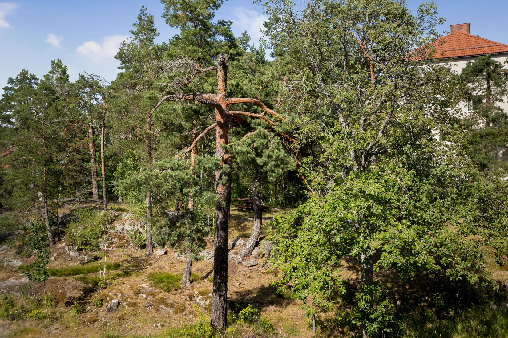 Bostadsrätt, Svartågatan 84, 2tr, Bagarmossen, Stockholm
