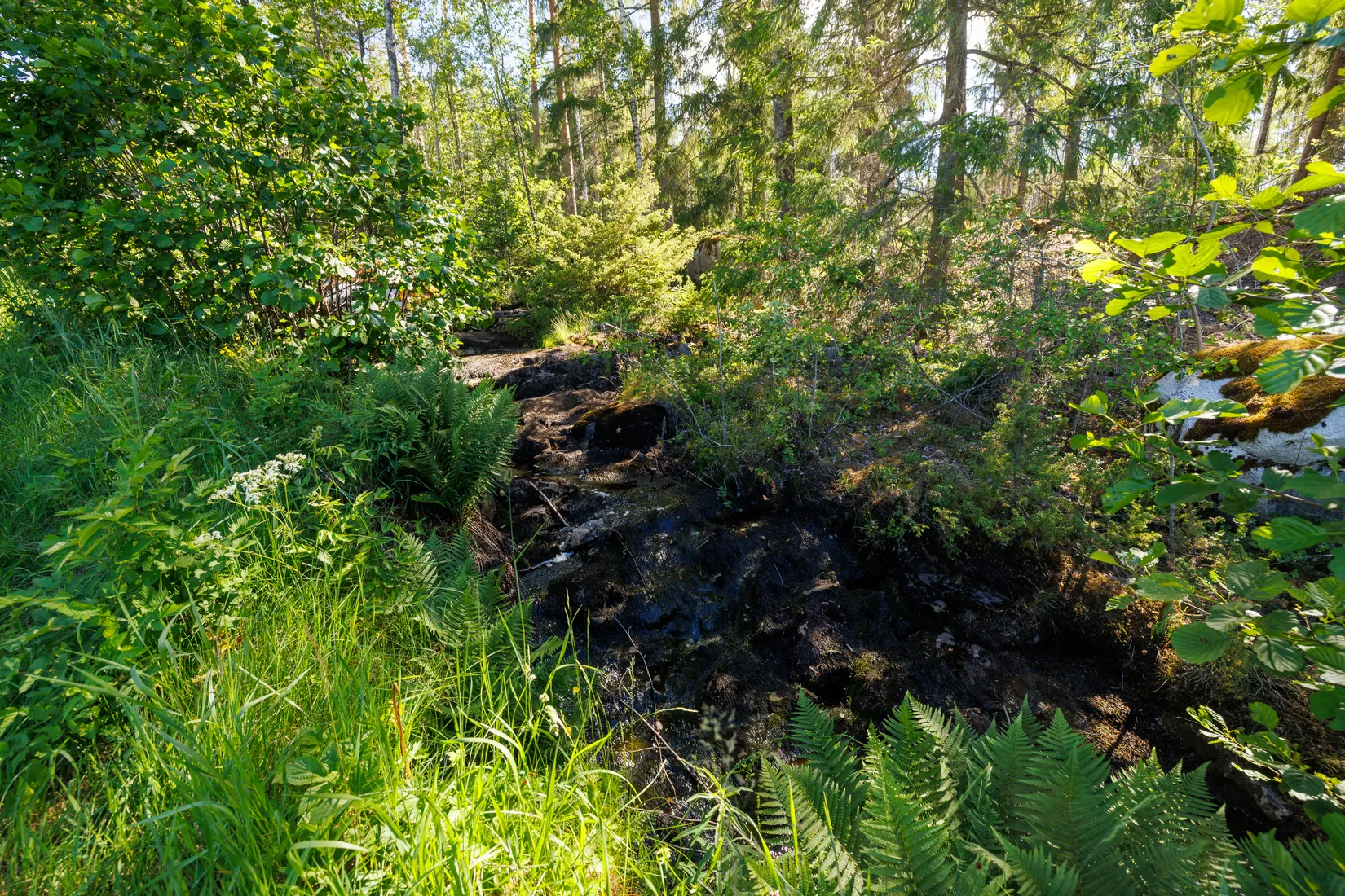 Gård/Skog, Biverud 474, Glanshammar, Örebro