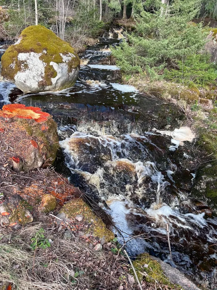 Gård/Skog, Biverud 474, Glanshammar, Örebro