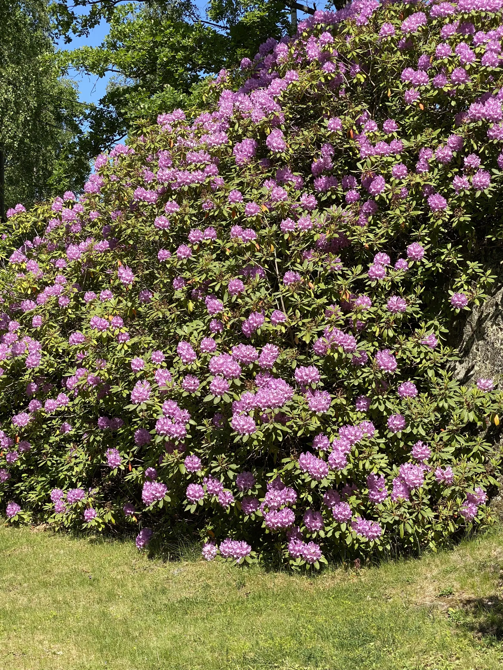 Fritidshus, Fröjs väg 14, Ekerö Helgö, Ekerö