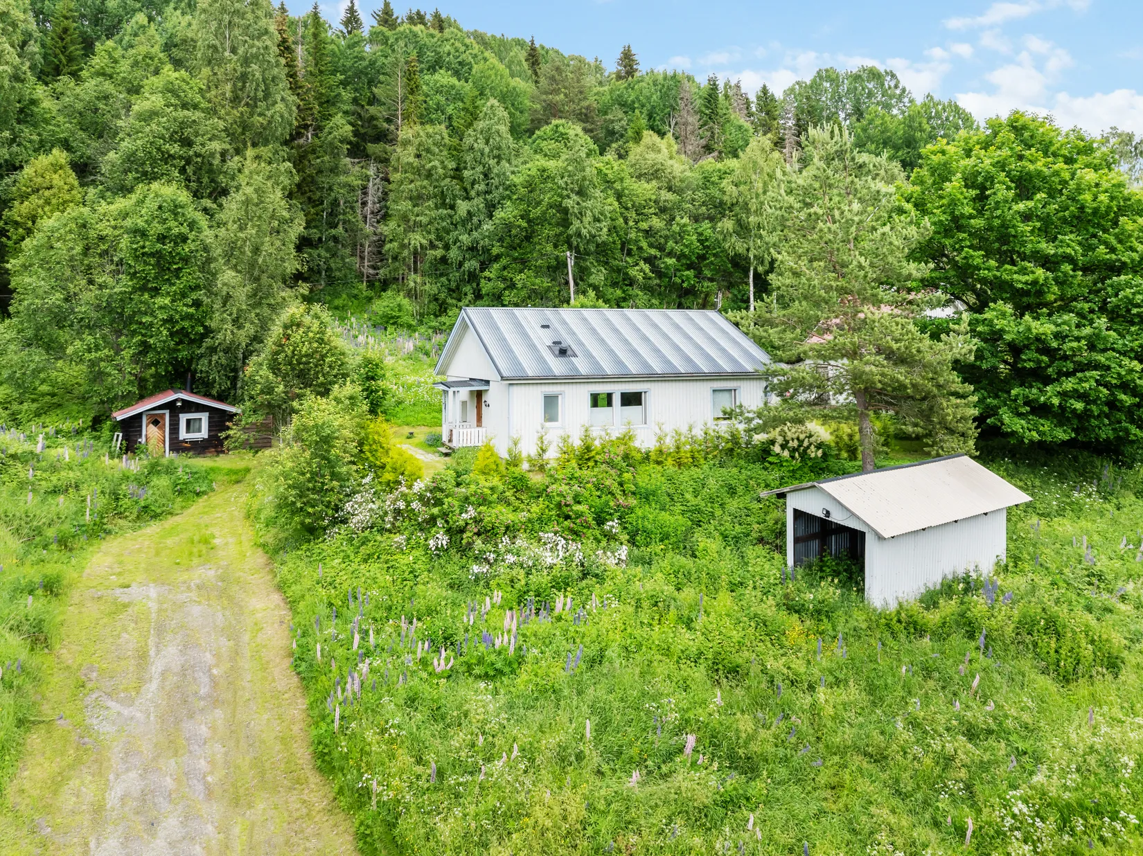 Gård/Skog, Edsta 140, Timrå
