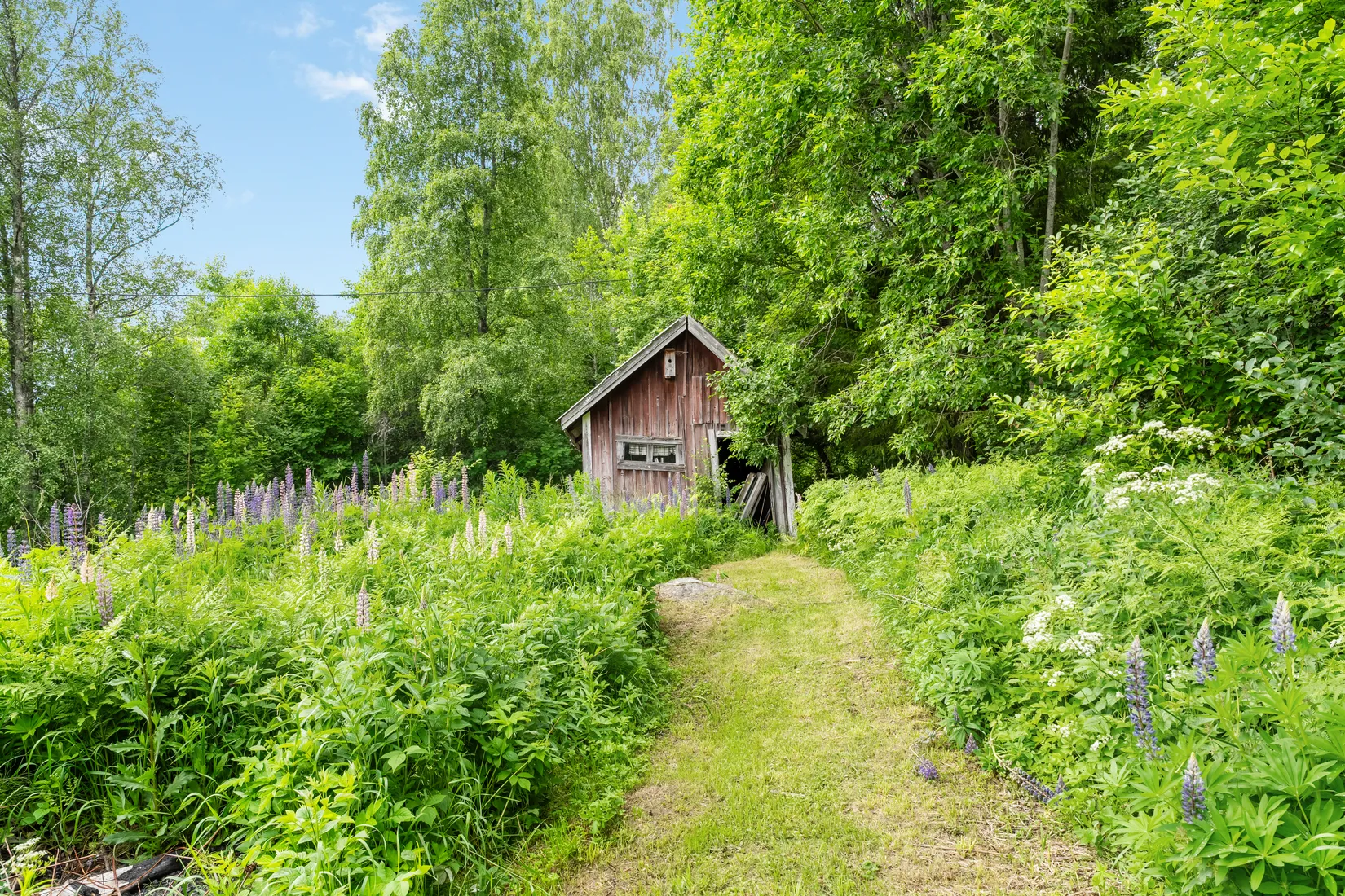 Gård/Skog, Edsta 140, Timrå