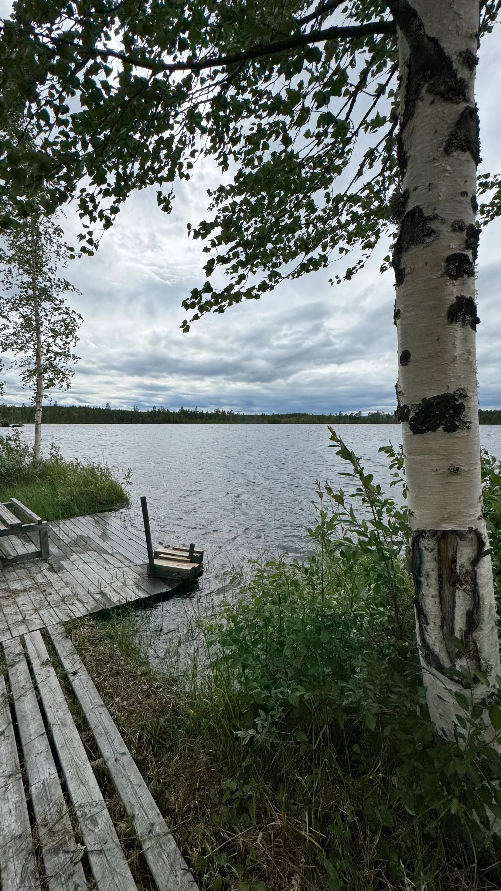 Villa, Skån 32, Skån, Ljusdal