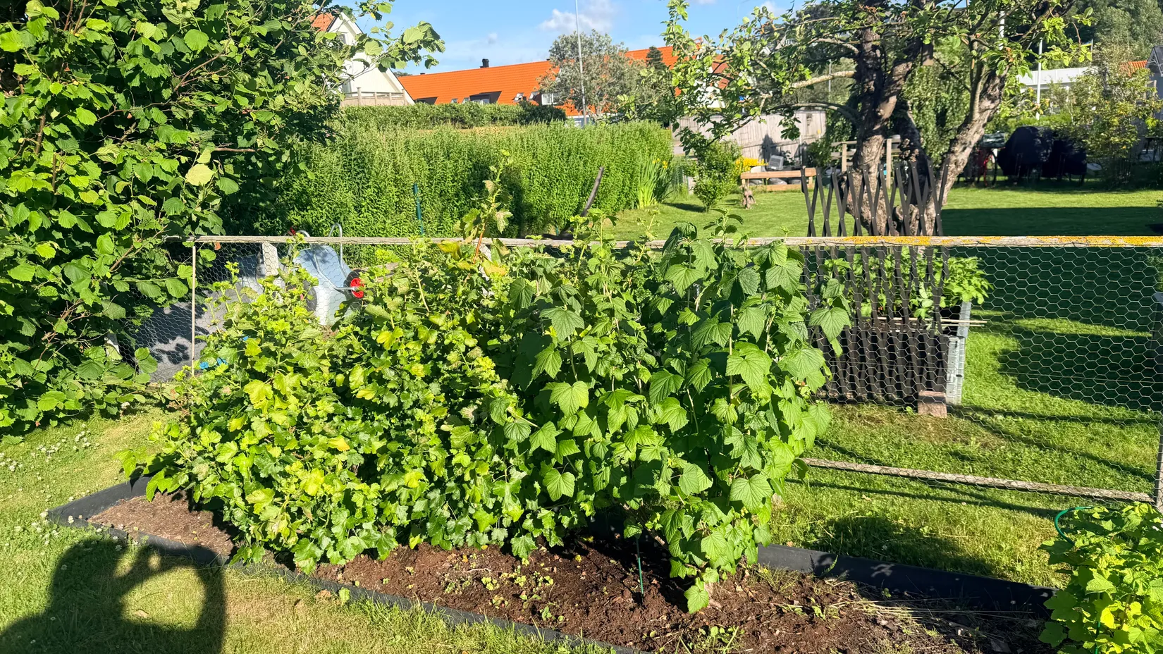 Fritidshus, Gulärlegången 166, Askim - Välen mellanområdet, Göteborg