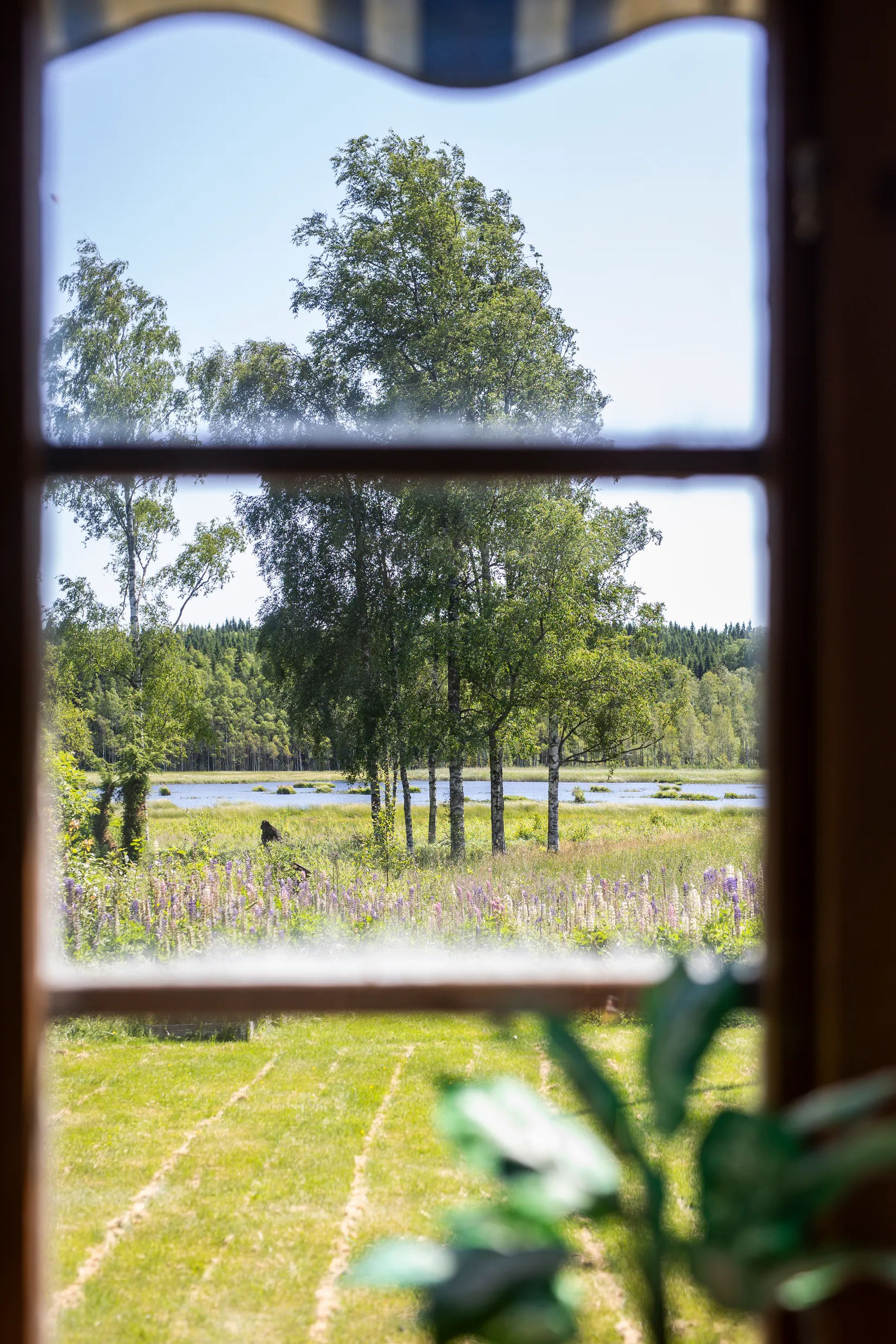 Gård/Skog, Botjärnen 6, Bjurtjärn, Storfors