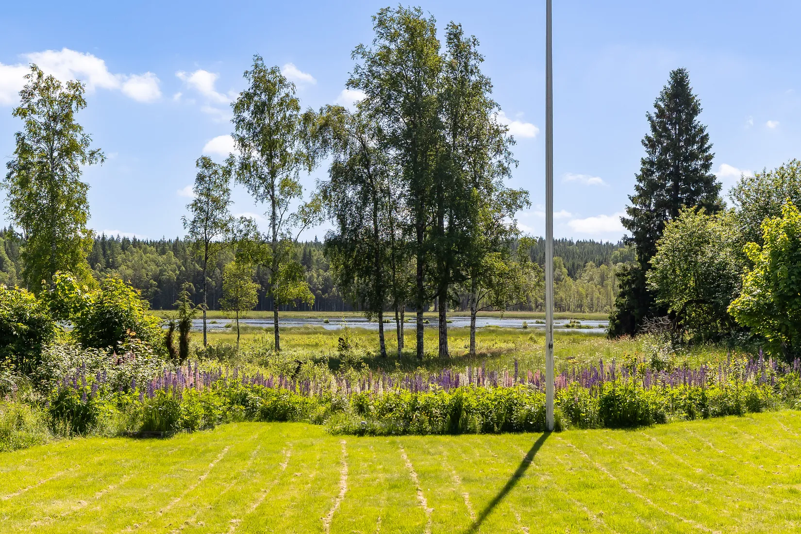 Gård/Skog, Botjärnen 6, Bjurtjärn, Storfors