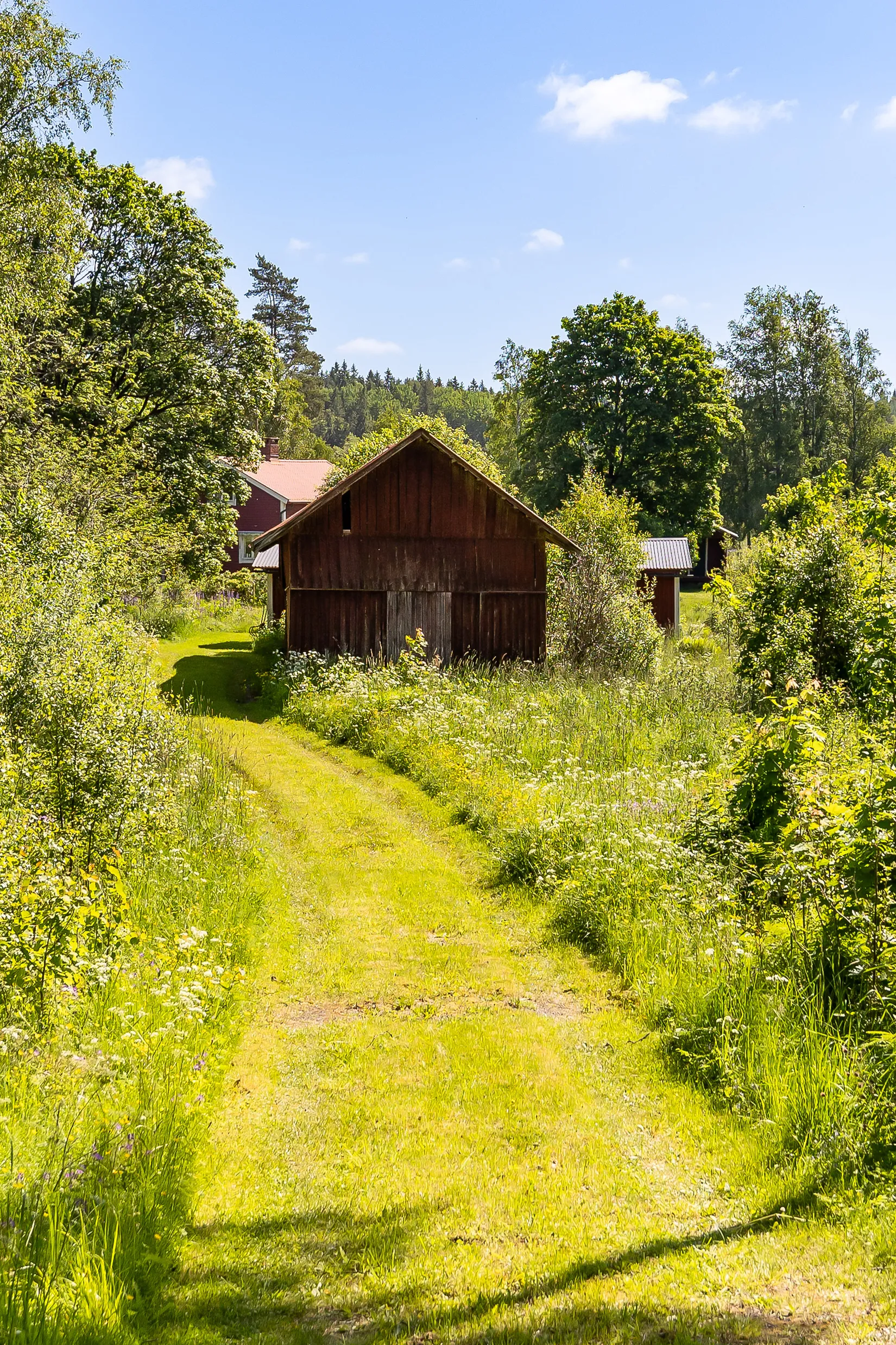 Gård/Skog, Botjärnen 6, Bjurtjärn, Storfors
