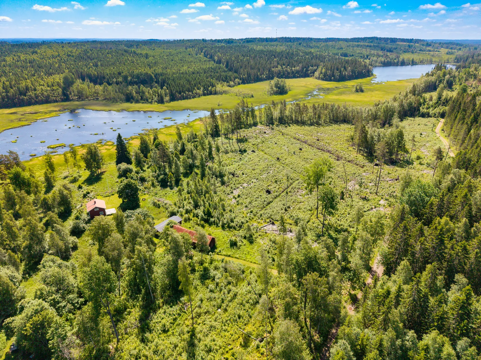 Gård/Skog, Botjärnen 6, Bjurtjärn, Storfors