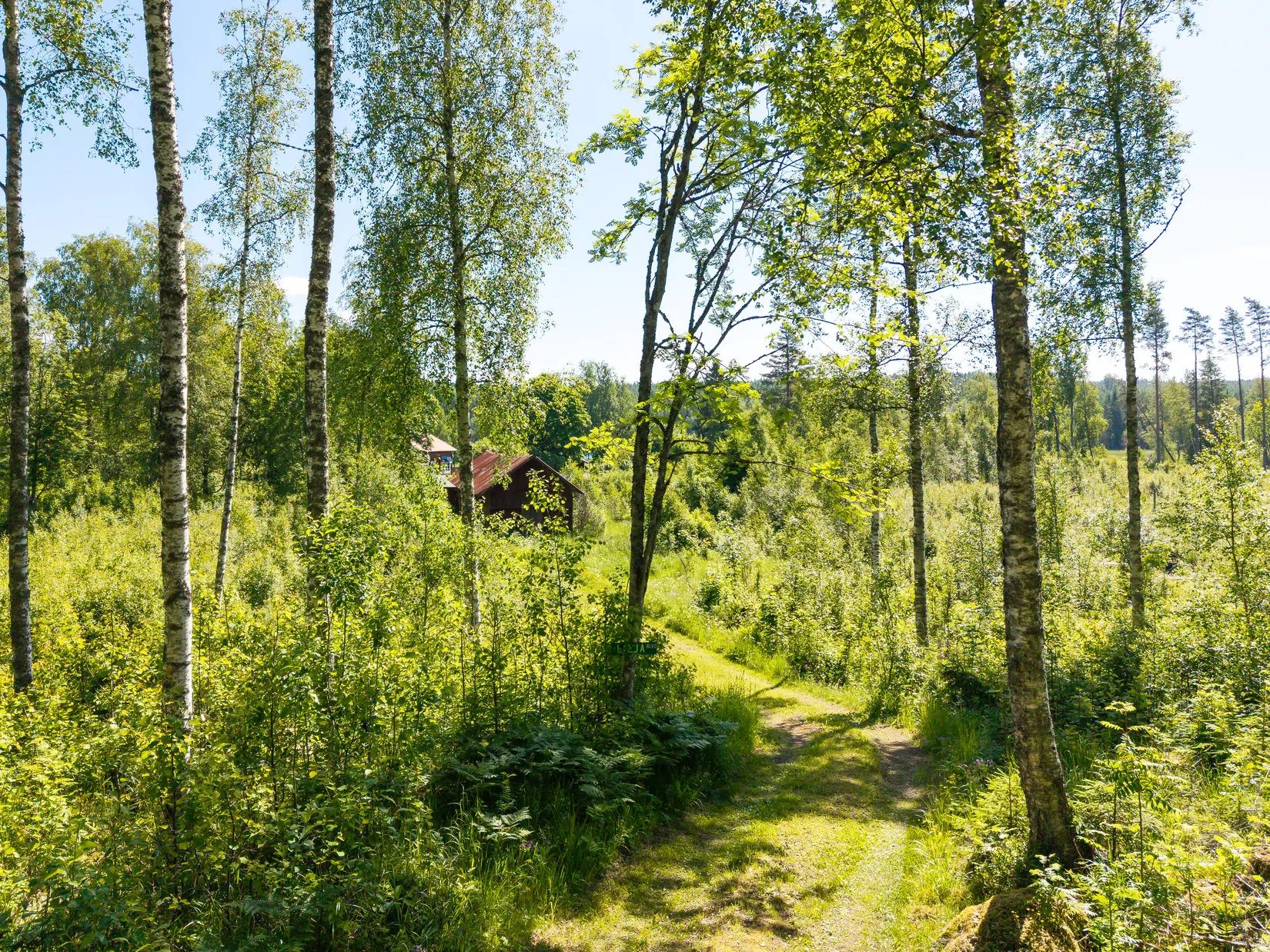 Gård/Skog, Botjärnen 6, Bjurtjärn, Storfors