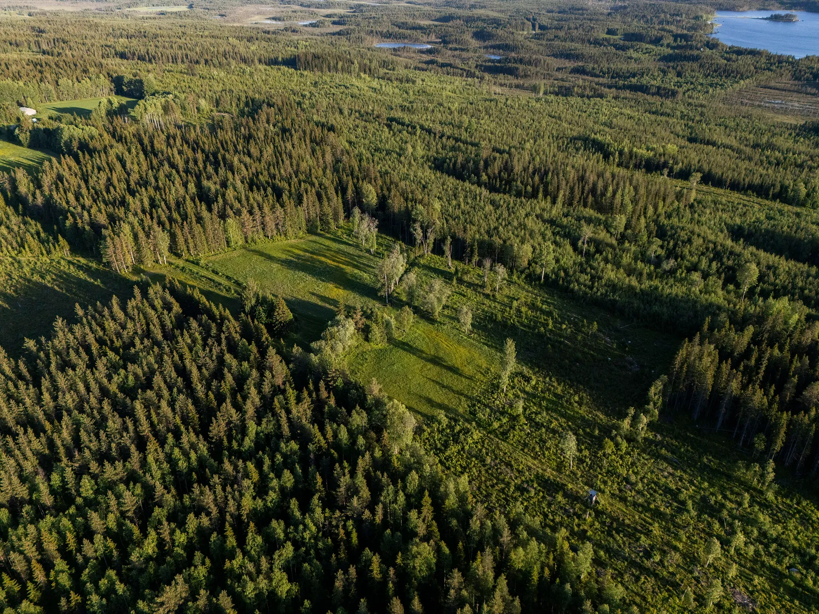 Gård/Skog, Västra högkulla 1:20 och 1:24, Västra Högkulla, Norsjö