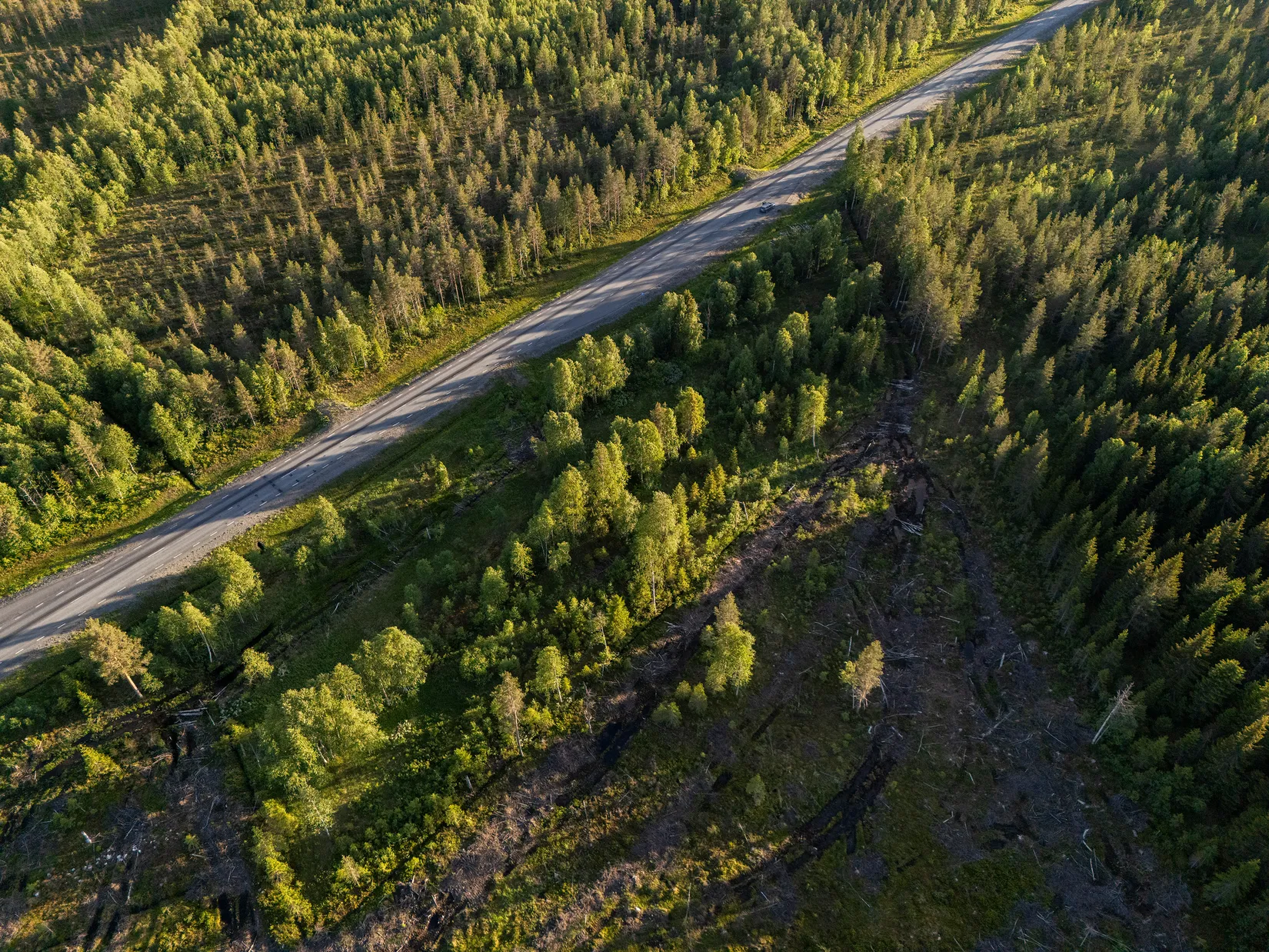 Gård/Skog, Västra högkulla 1:20 och 1:24, Västra Högkulla, Norsjö