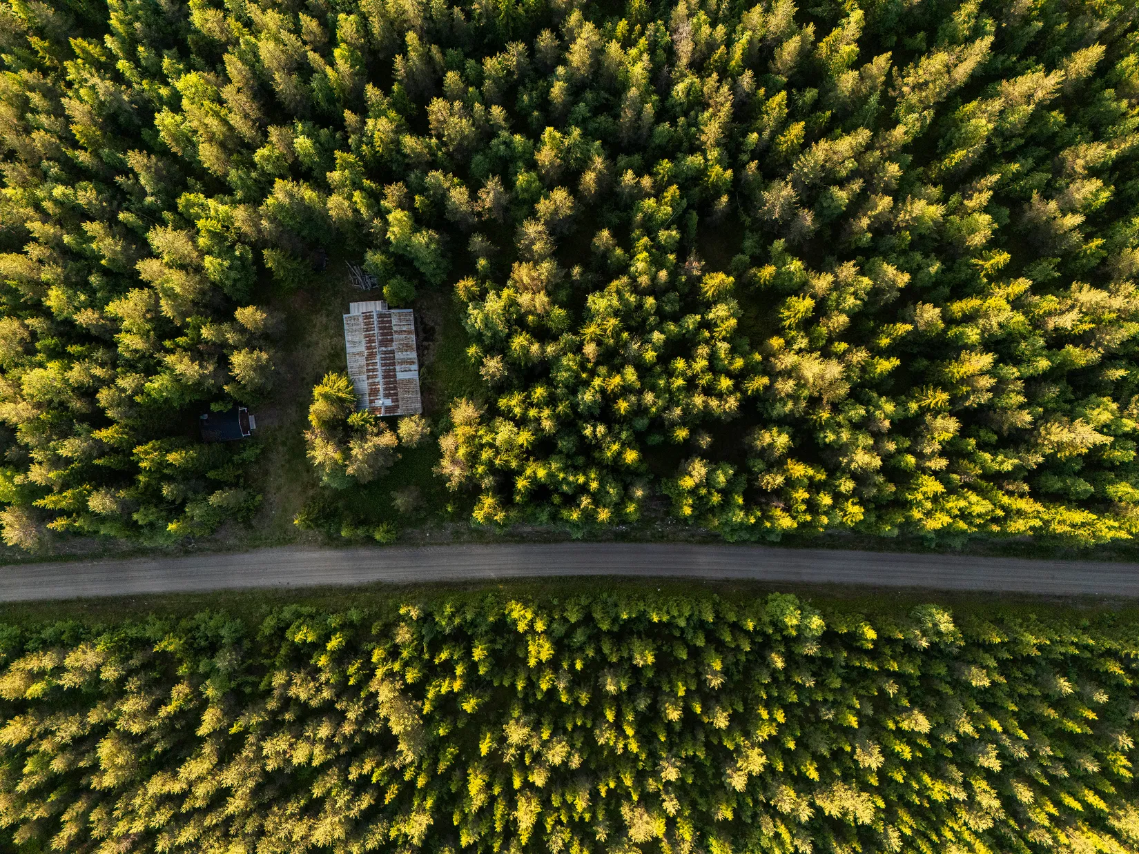 Gård/Skog, Västra högkulla 1:20 och 1:24, Västra Högkulla, Norsjö