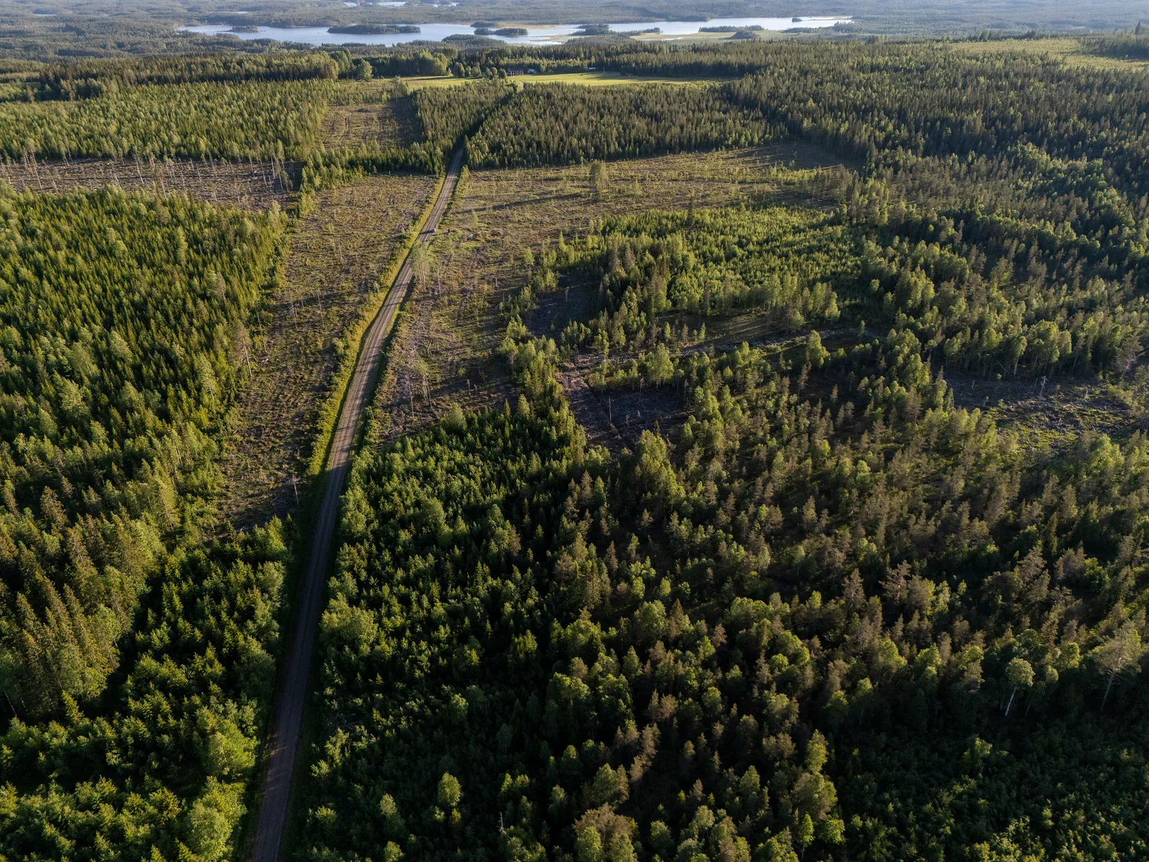 Gård/Skog, Västra högkulla 1:20 och 1:24, Västra Högkulla, Norsjö