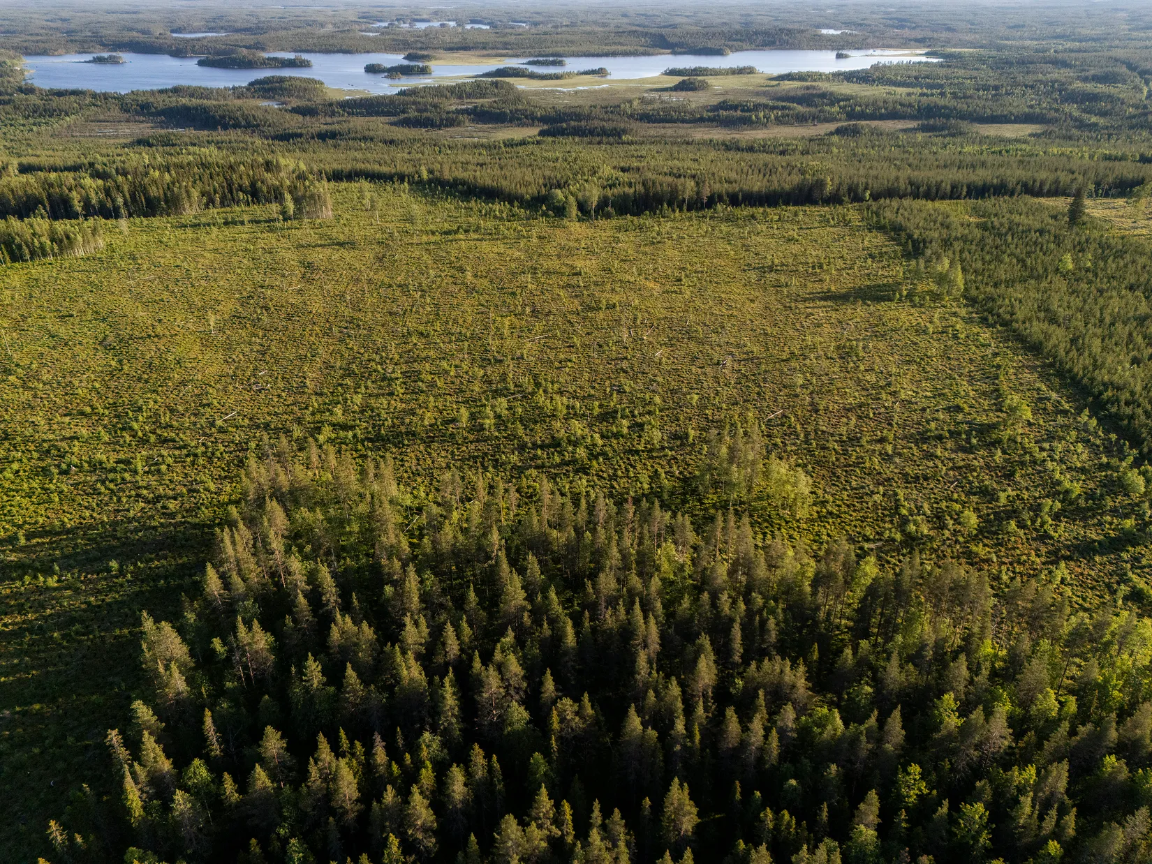 Gård/Skog, Västra högkulla 1:20 och 1:24, Västra Högkulla, Norsjö