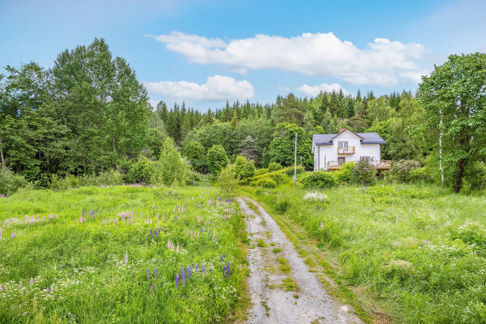 Gård/Skog, Bölen 558, Ramvik, Härnösand