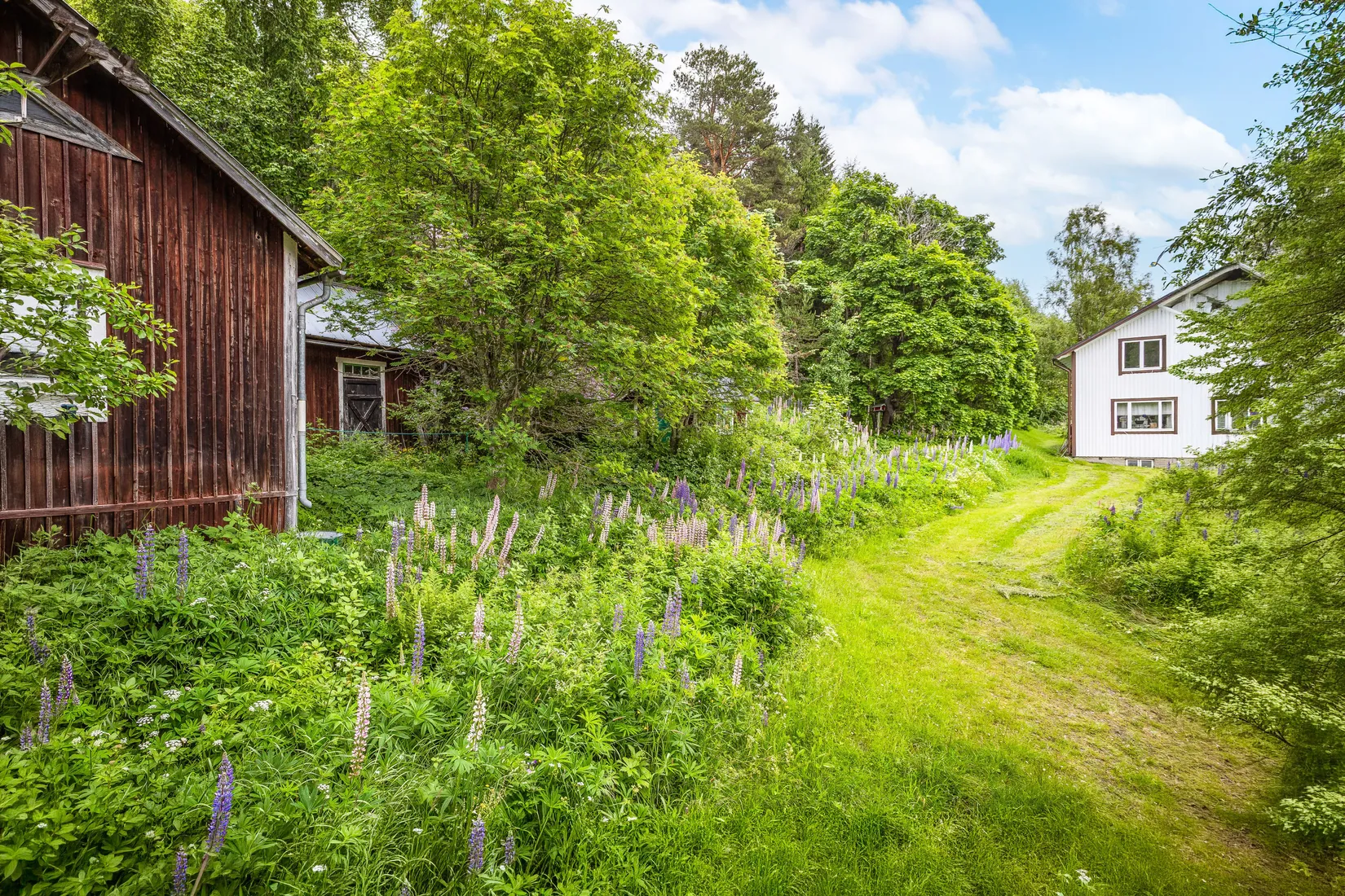Gård/Skog, Bölen 558, Ramvik, Härnösand