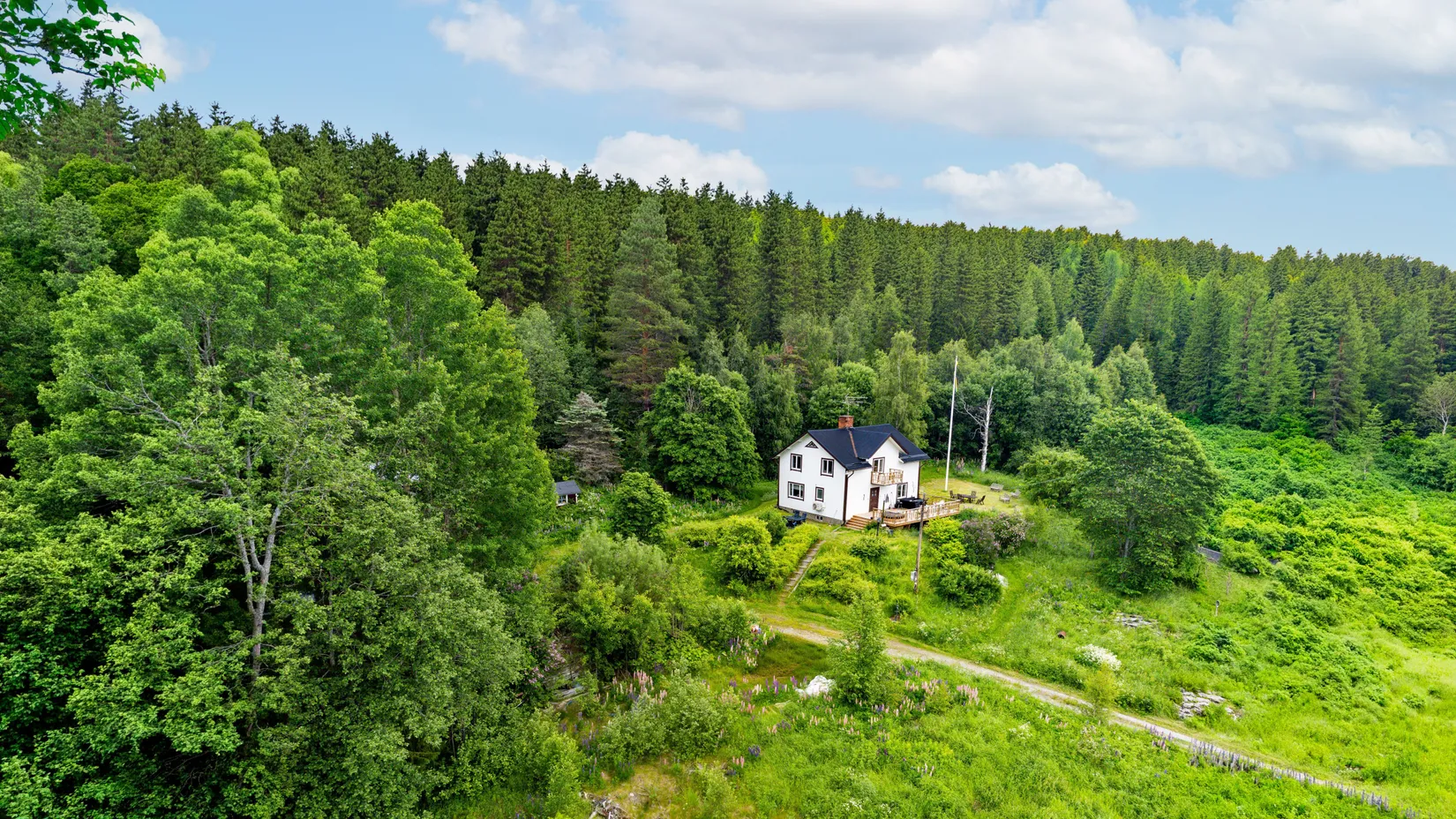 Gård/Skog, Bölen 558, Ramvik, Härnösand