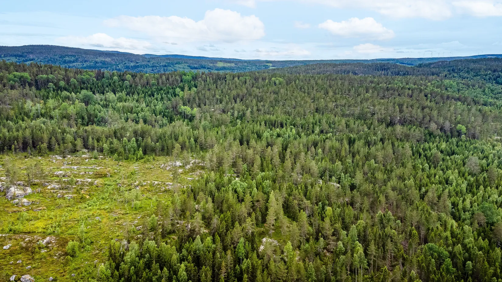 Gård/Skog, Bölen 558, Ramvik, Härnösand