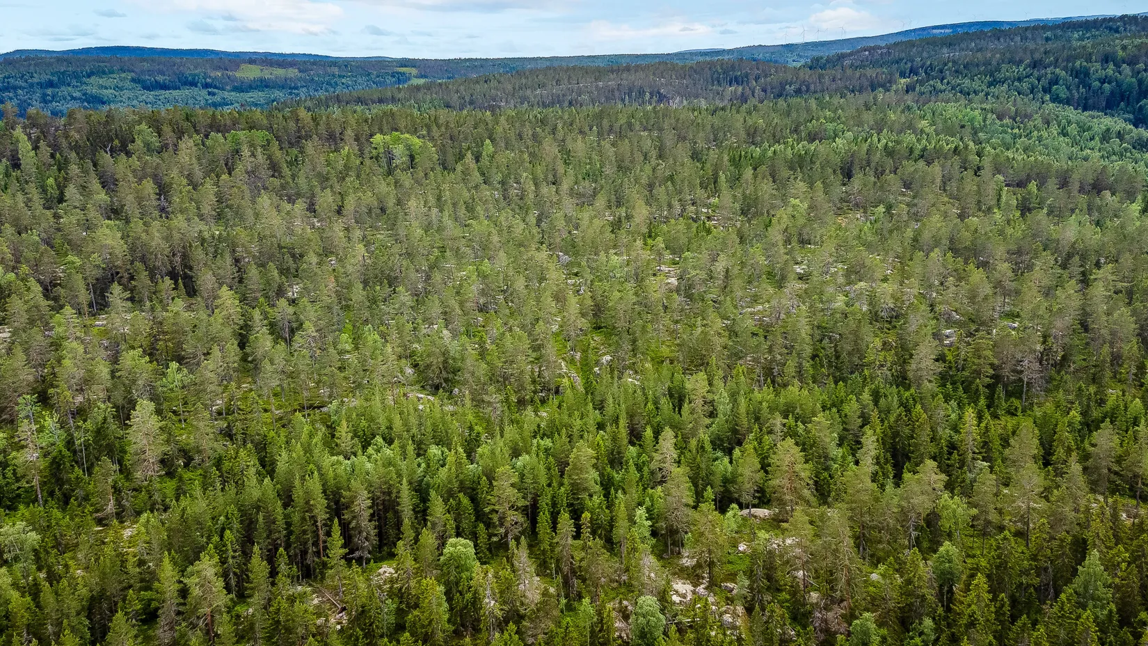 Gård/Skog, Bölen 558, Ramvik, Härnösand