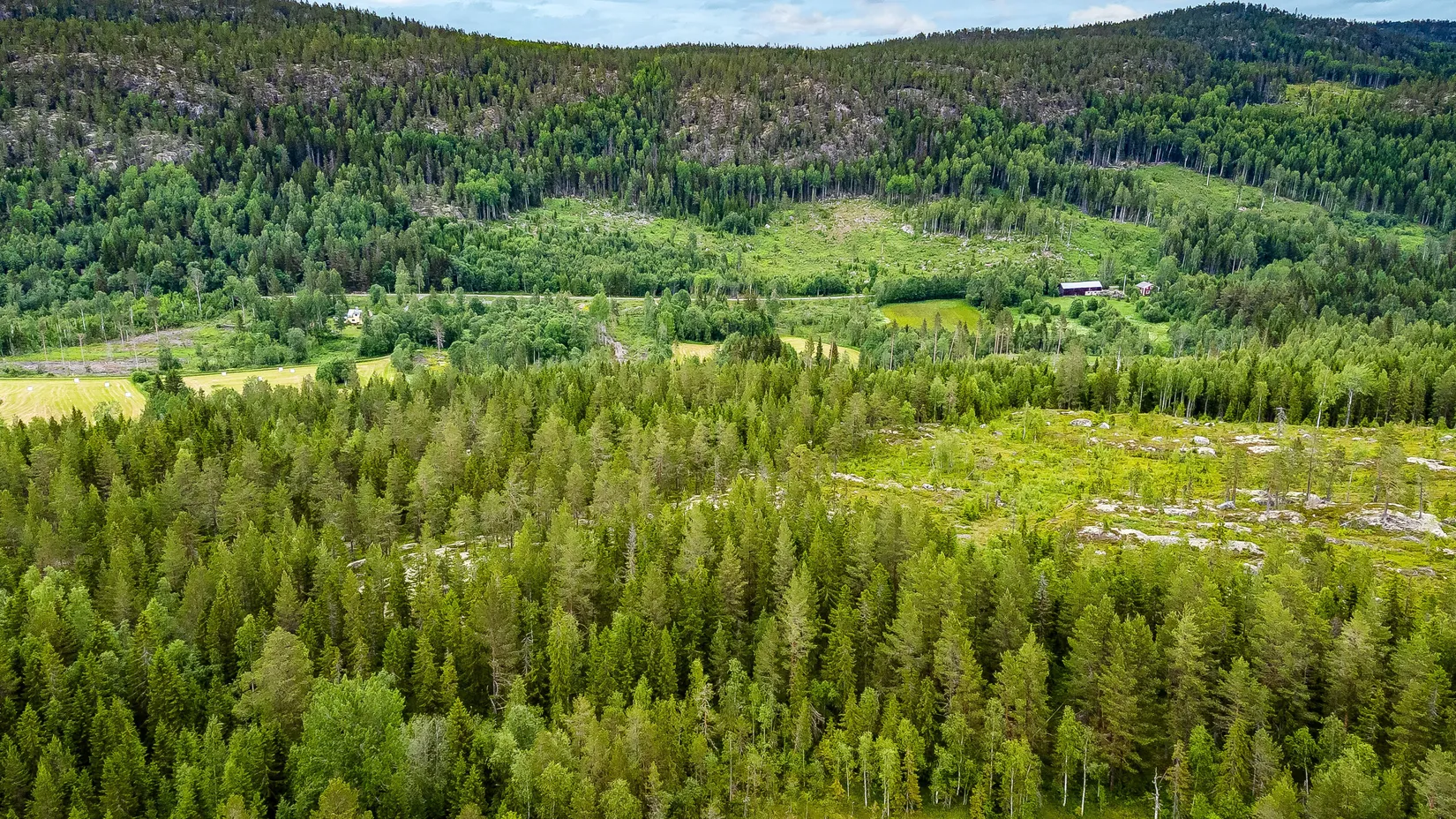 Gård/Skog, Bölen 558, Ramvik, Härnösand