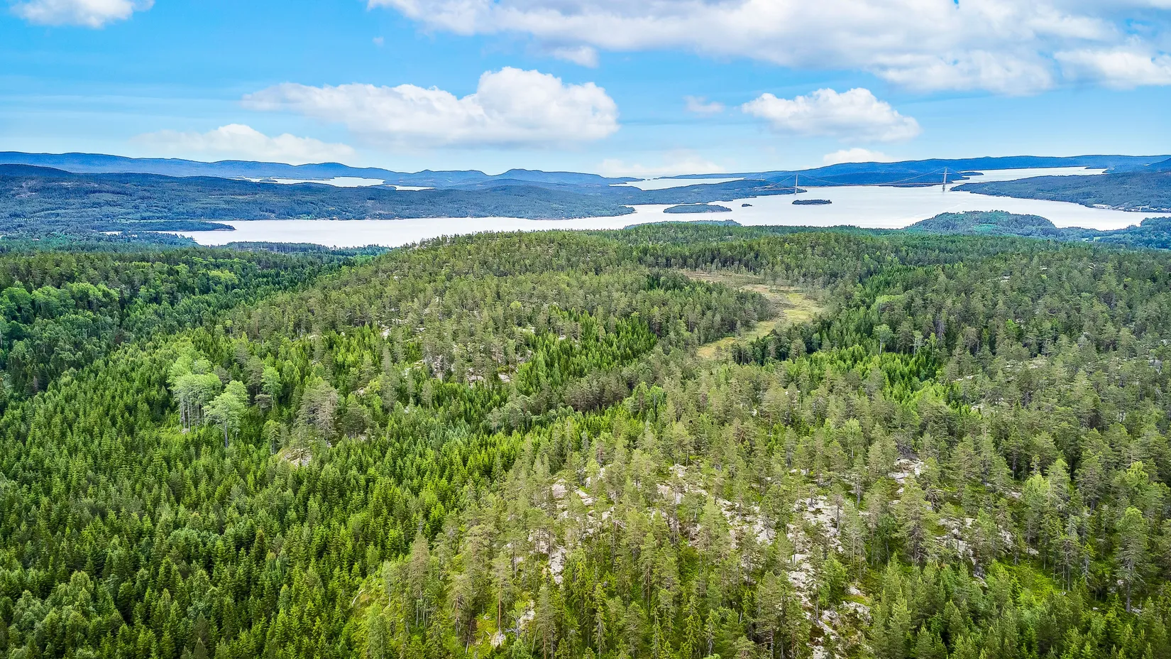 Gård/Skog, Bölen 558, Ramvik, Härnösand