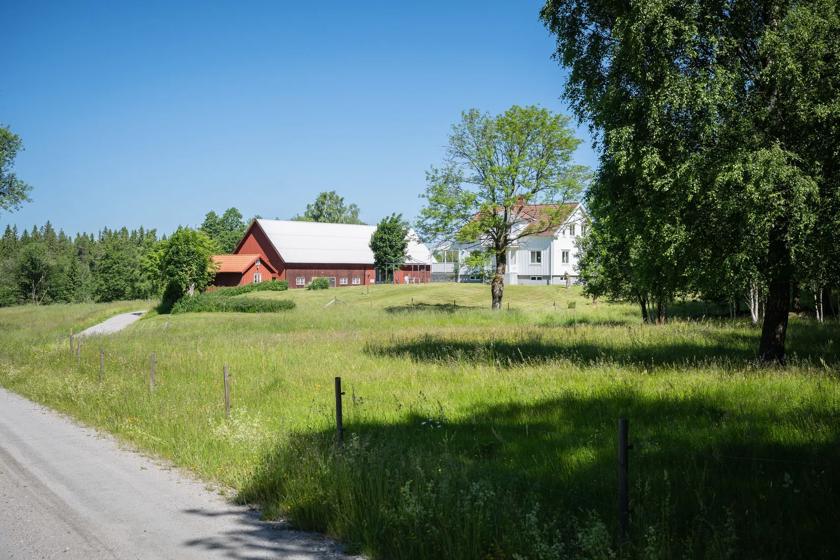 Gård/Skog, Hössna Grytåsen 101, Hössna, Ulricehamn
