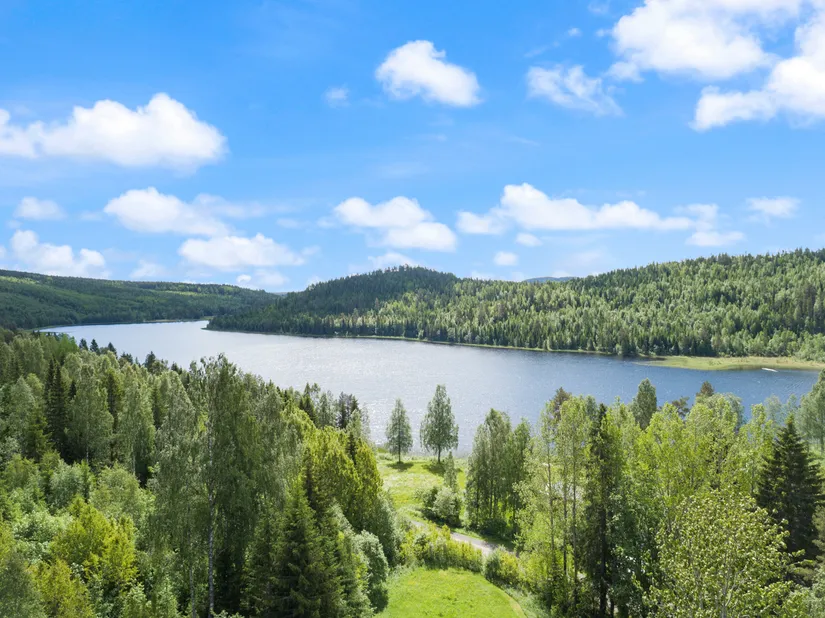 Gård/Skog, Almsjönäs 206, Almsjönäs, Kramfors