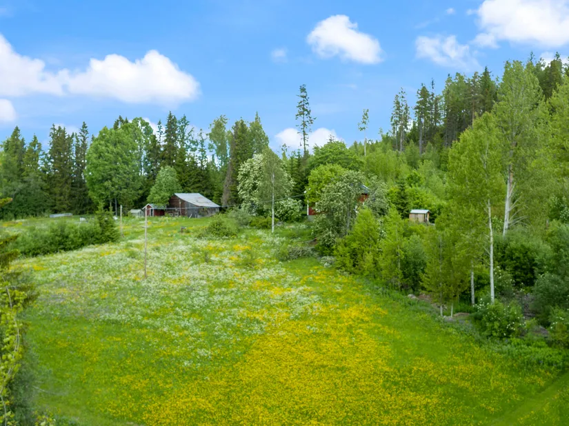 Gård/Skog, Almsjönäs 206, Almsjönäs, Kramfors