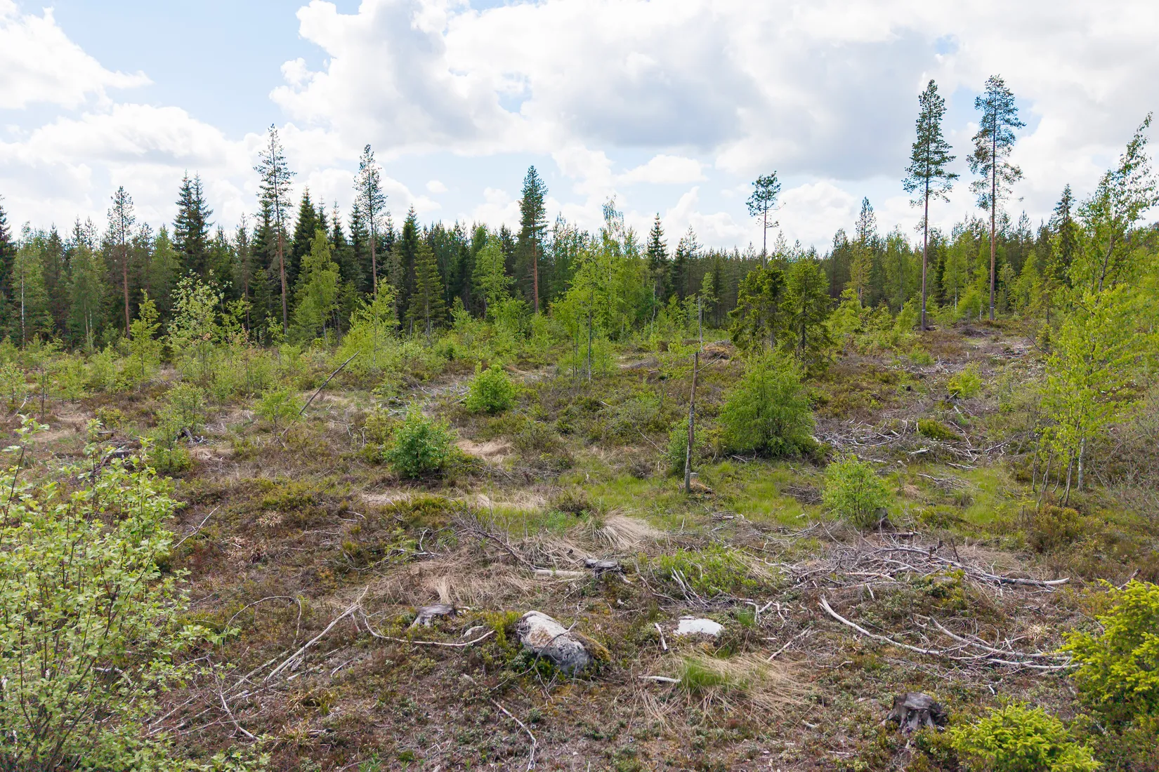 Tomt, Västerbacka 16, Tavelsjö, Umeå