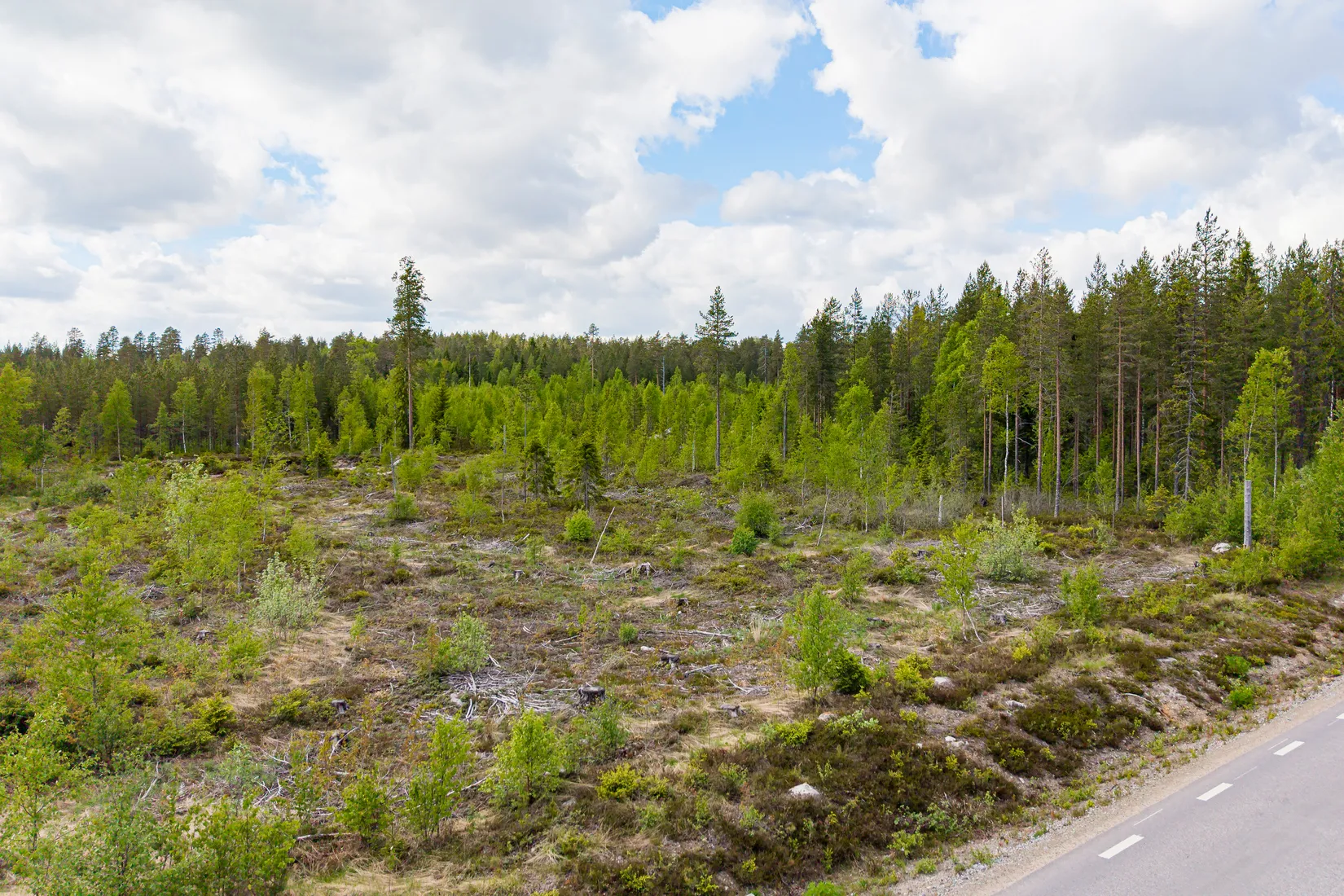 Tomt, Västerbacka 16, Tavelsjö, Umeå