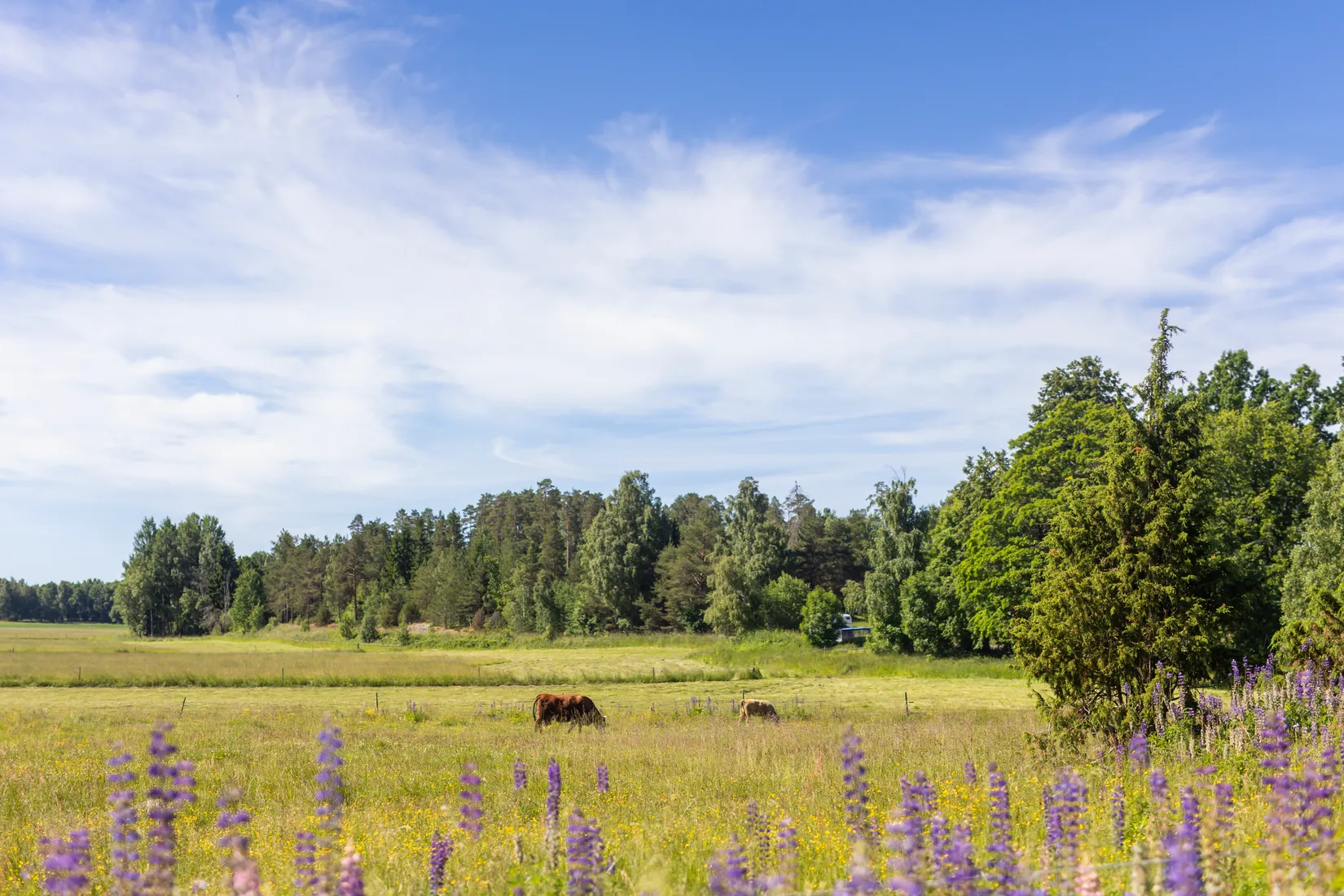 Villa, Bonderudsvägen 8, Östra Sunnäs, Kristinehamn
