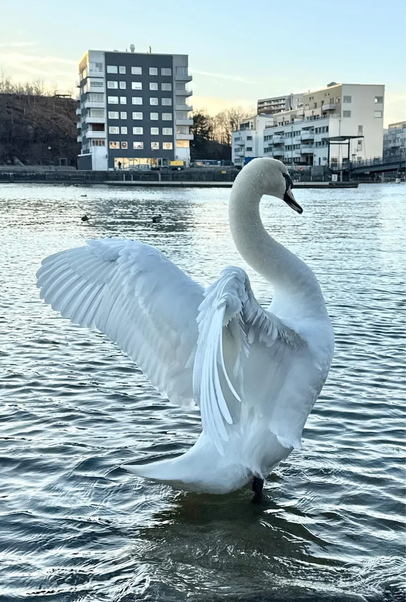Bostadsrätt, Miraallén 23, Sannegårdshamnen, Göteborg