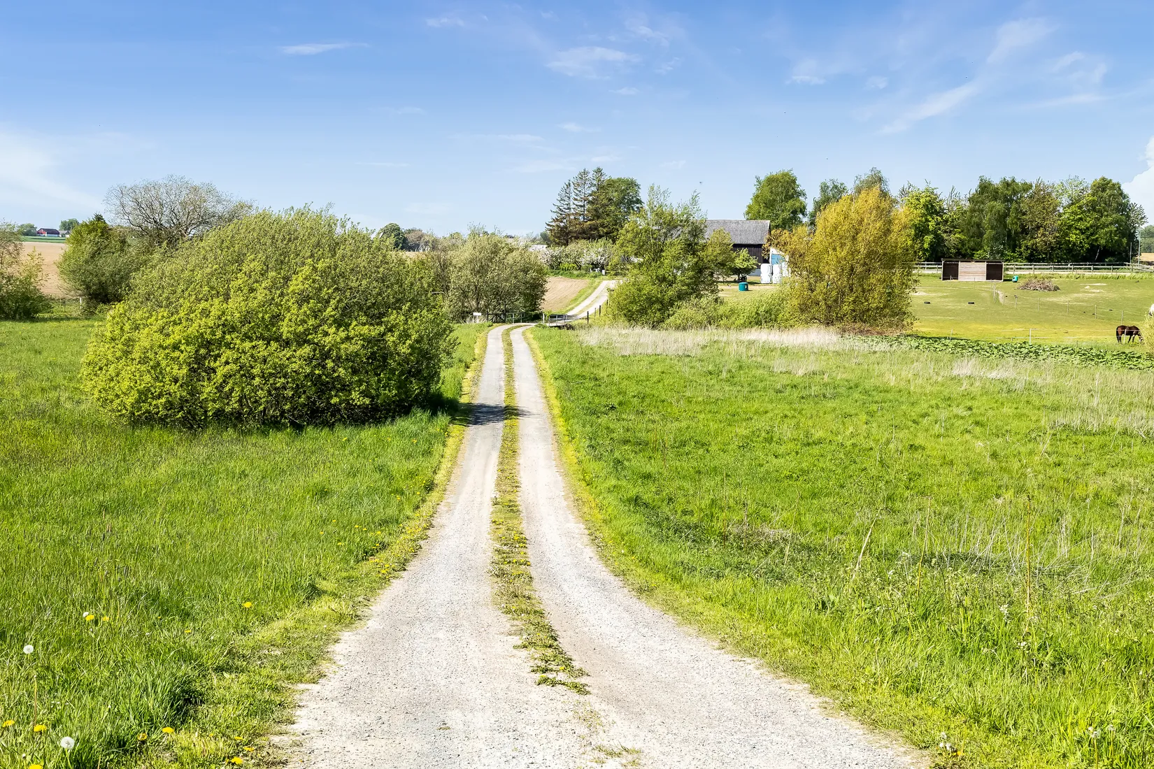 Gård/Skog, Skivarp 351, Skivarp, Skurup