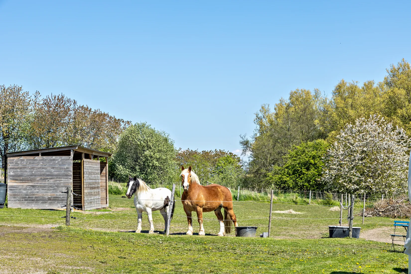 Gård/Skog, Skivarp 351, Skivarp, Skurup