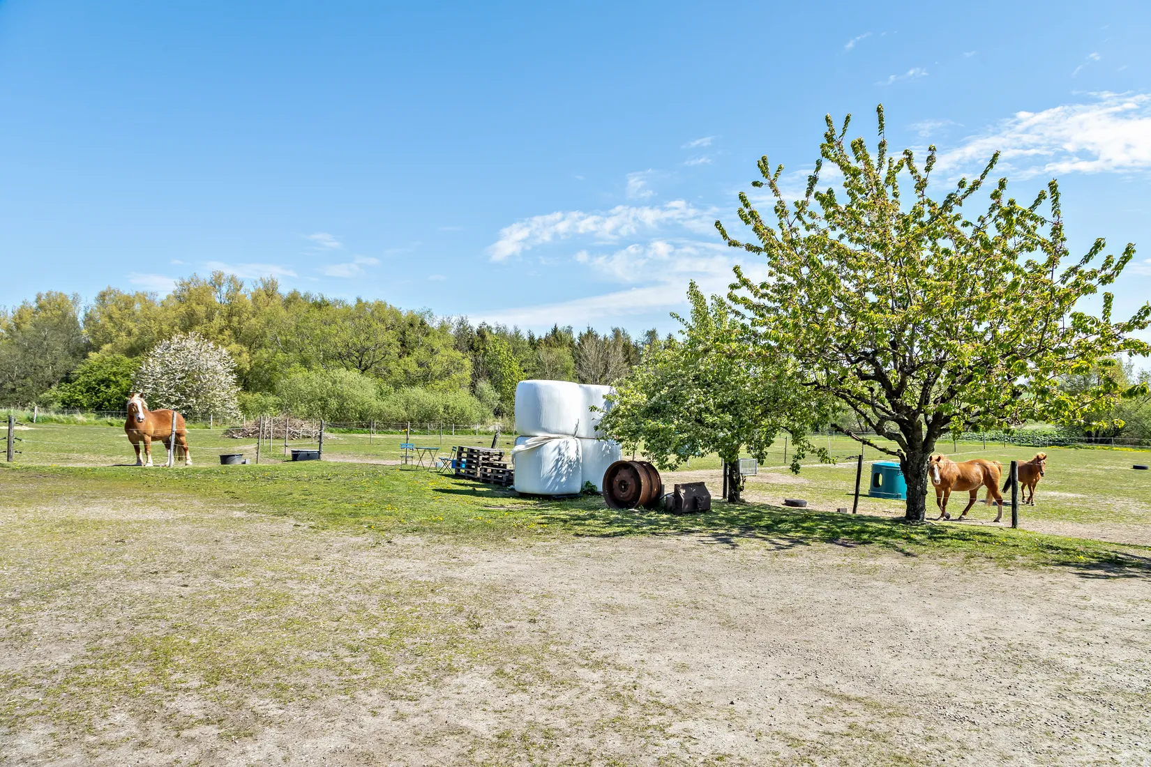 Gård/Skog, Skivarp 351, Skivarp, Skurup