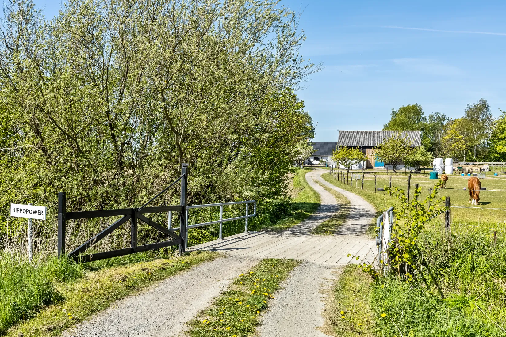 Gård/Skog, Skivarp 351, Skivarp, Skurup