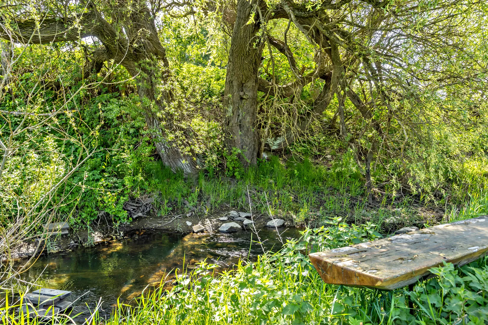 Gård/Skog, Skivarp 351, Skivarp, Skurup