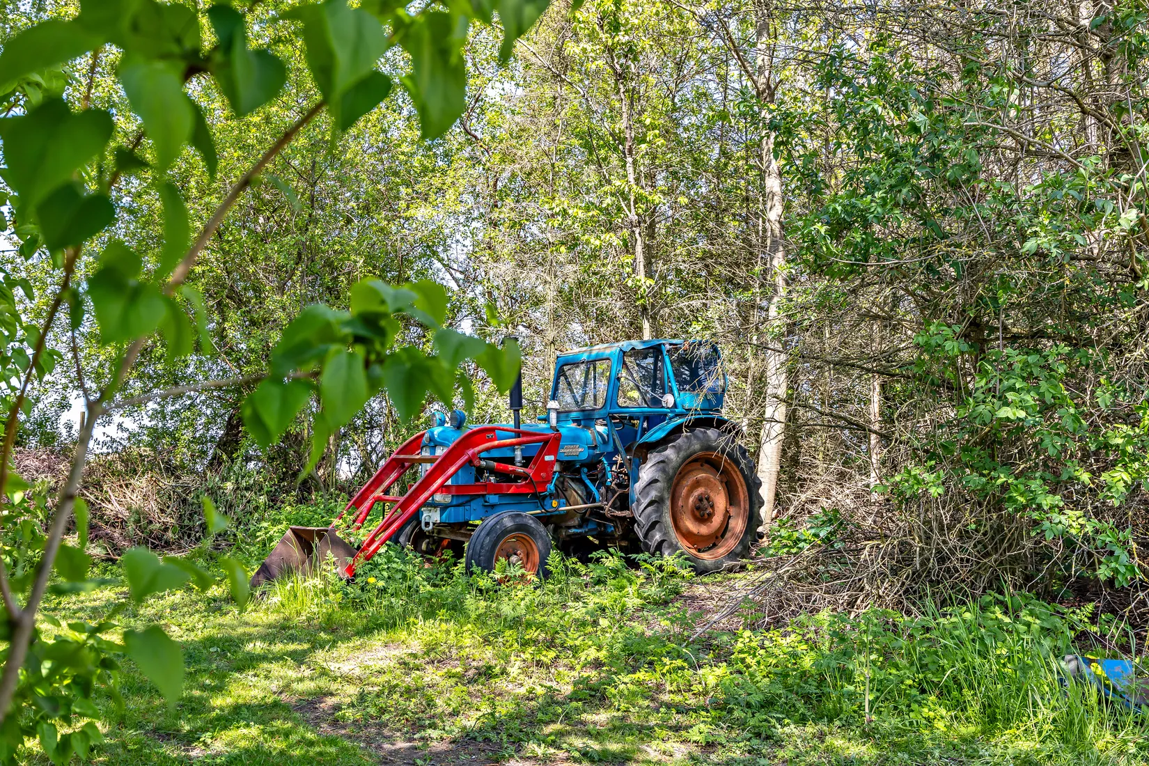Gård/Skog, Skivarp 351, Skivarp, Skurup